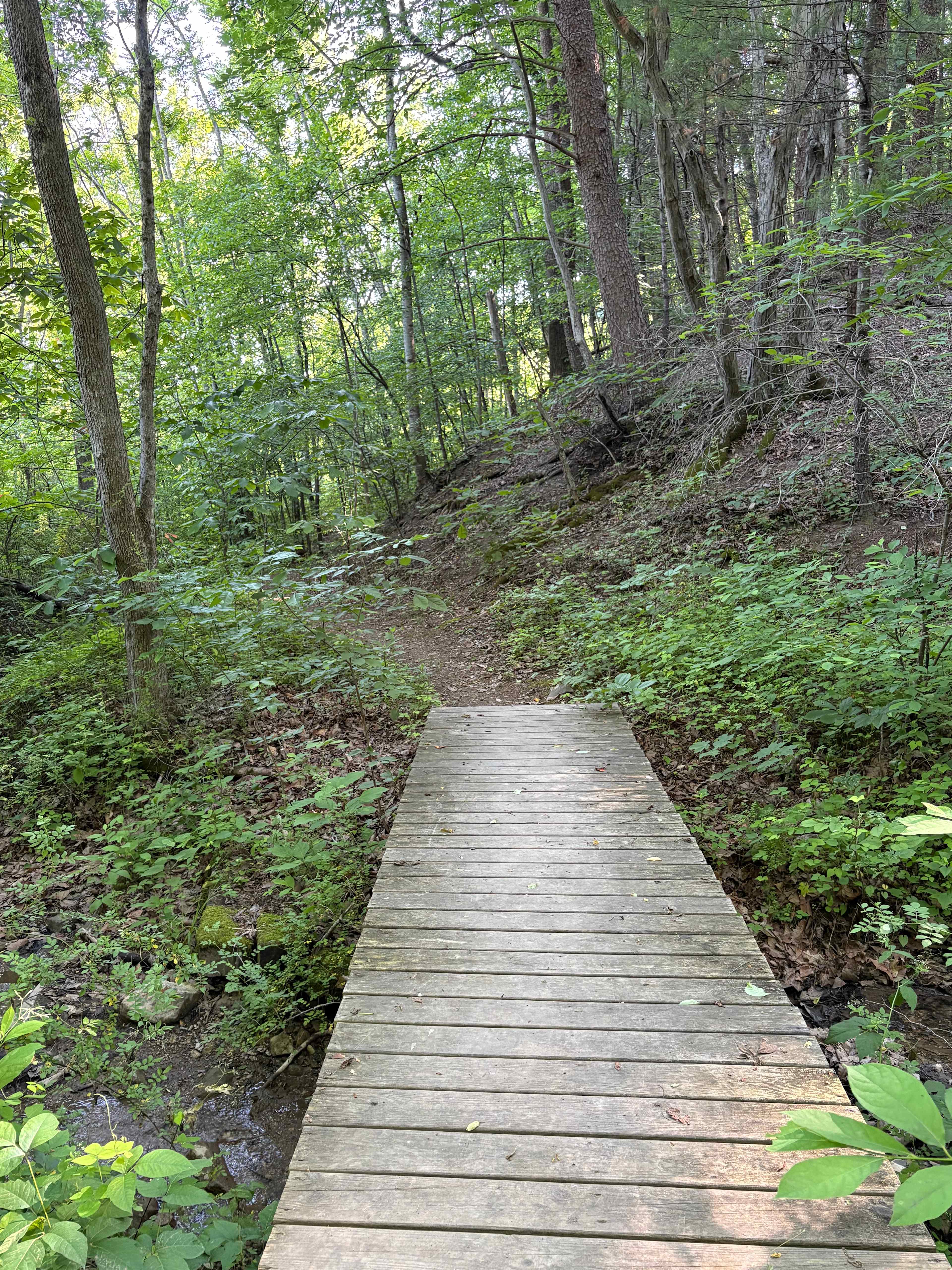 Riverside Campground at Seneca