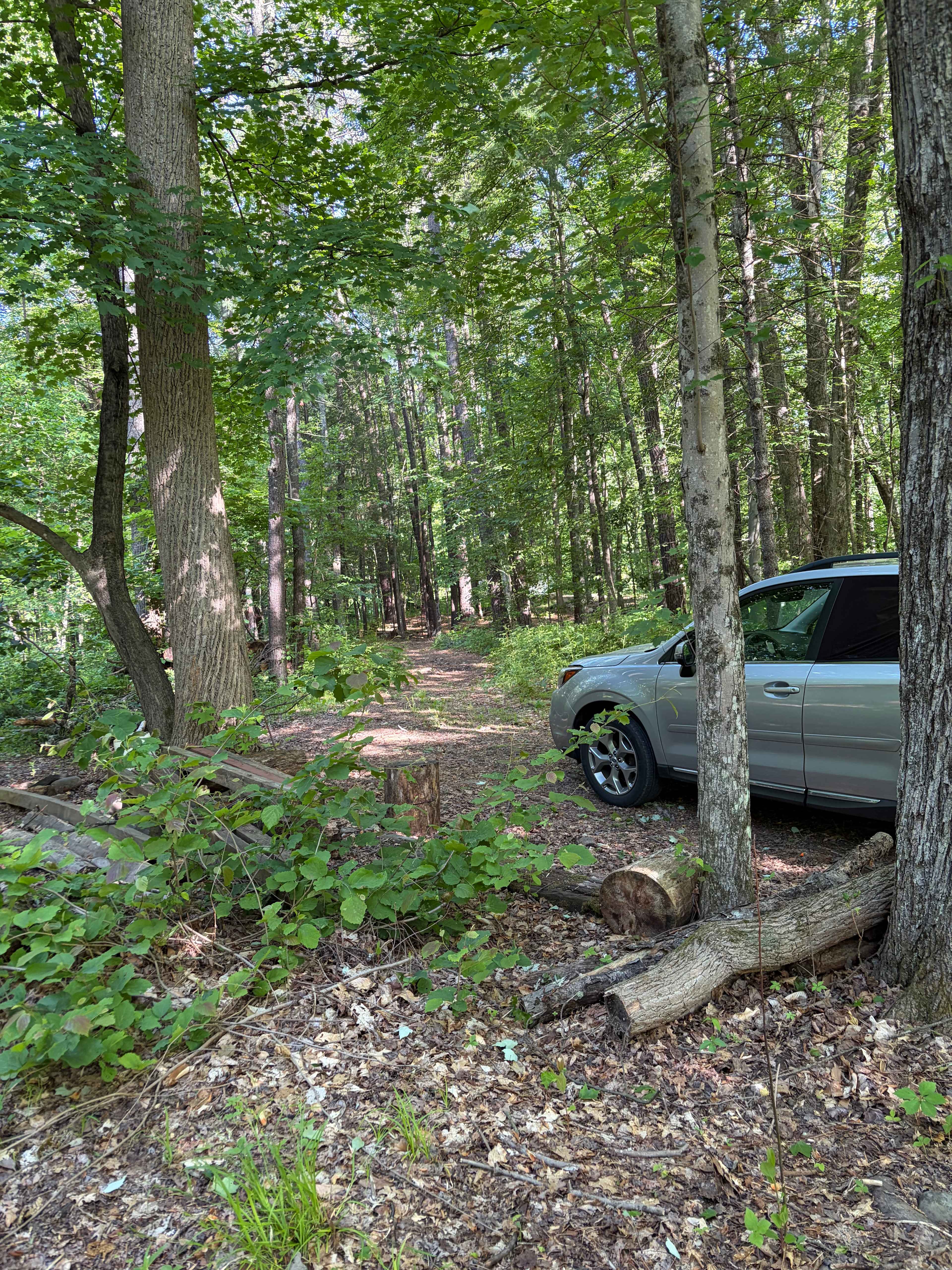 Red Fox Meadow Campsite