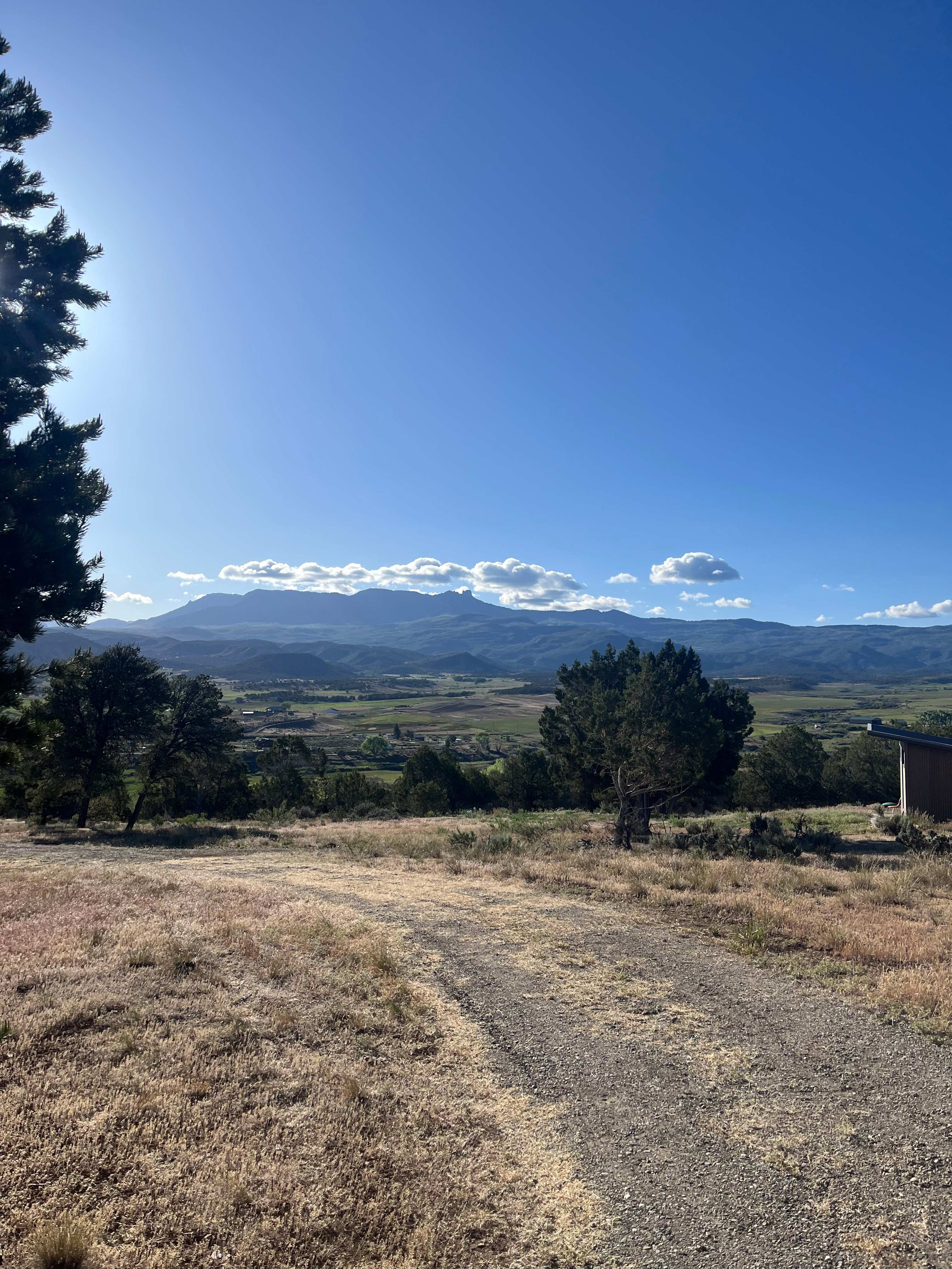 View from our site :)