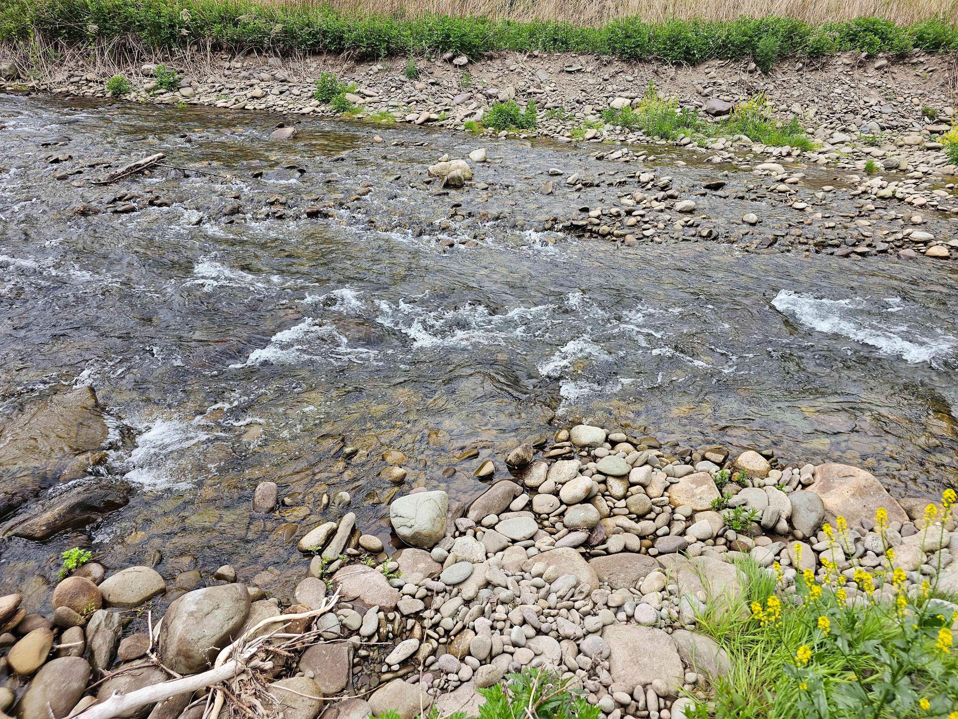Great river 