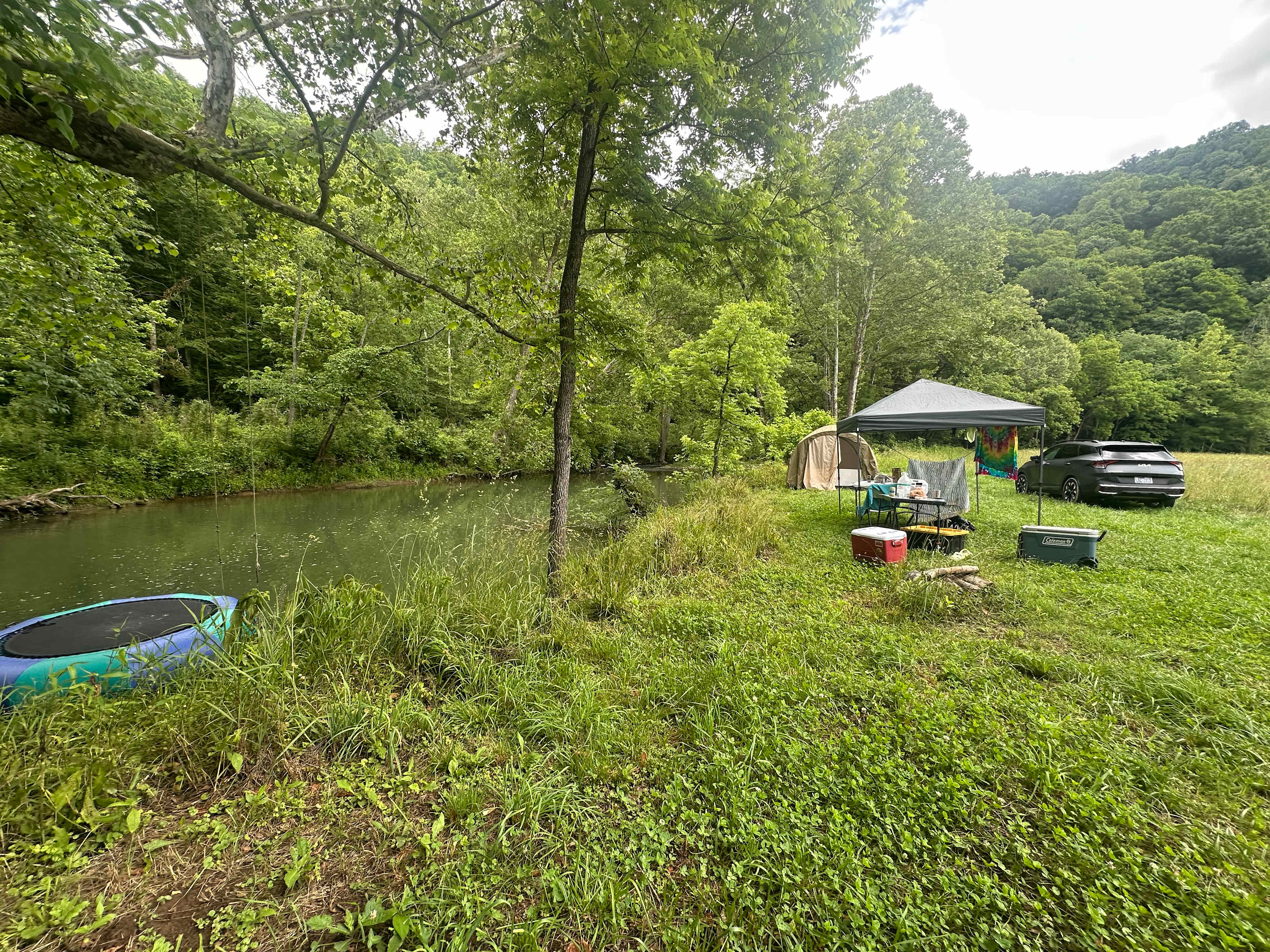 Mountain streams and wildlife