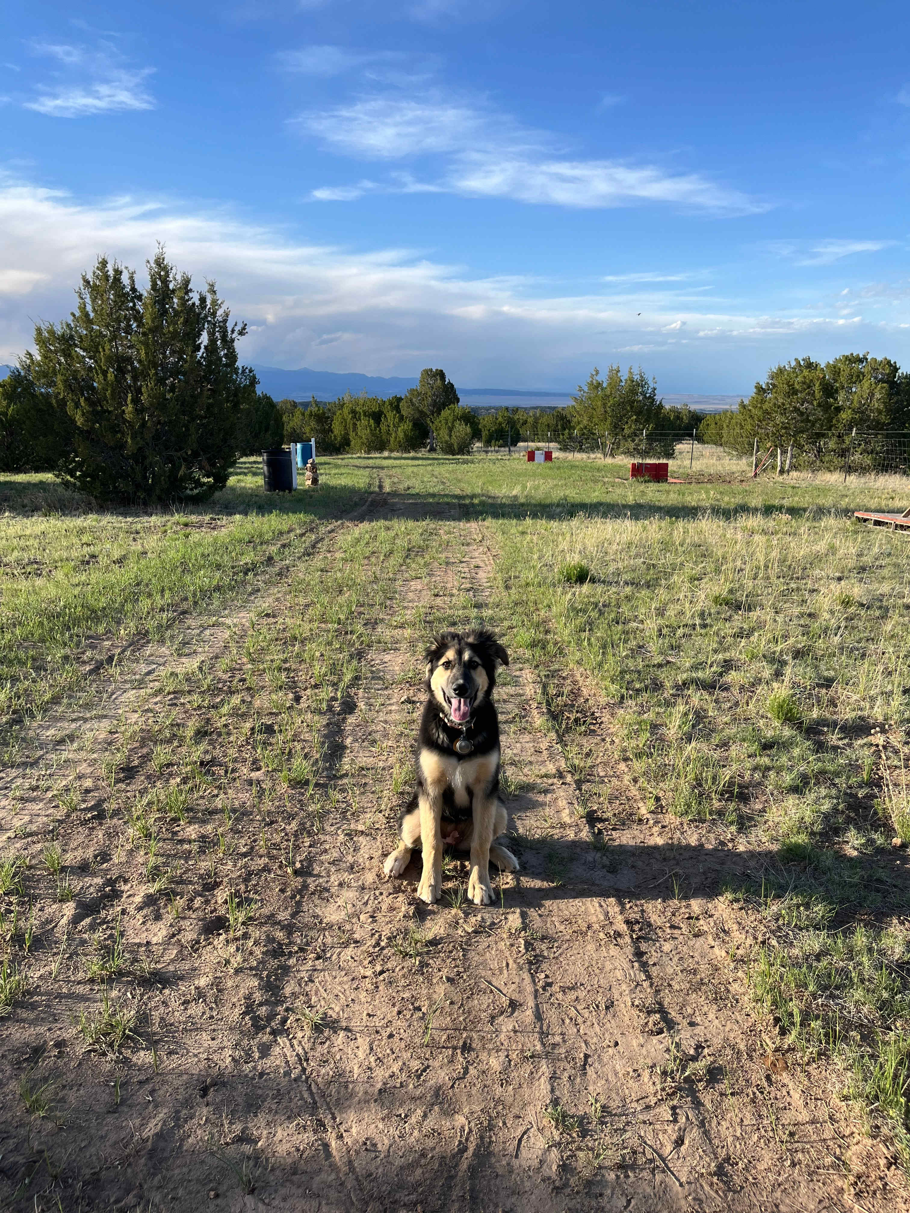 Little Owl Canyon Campground
