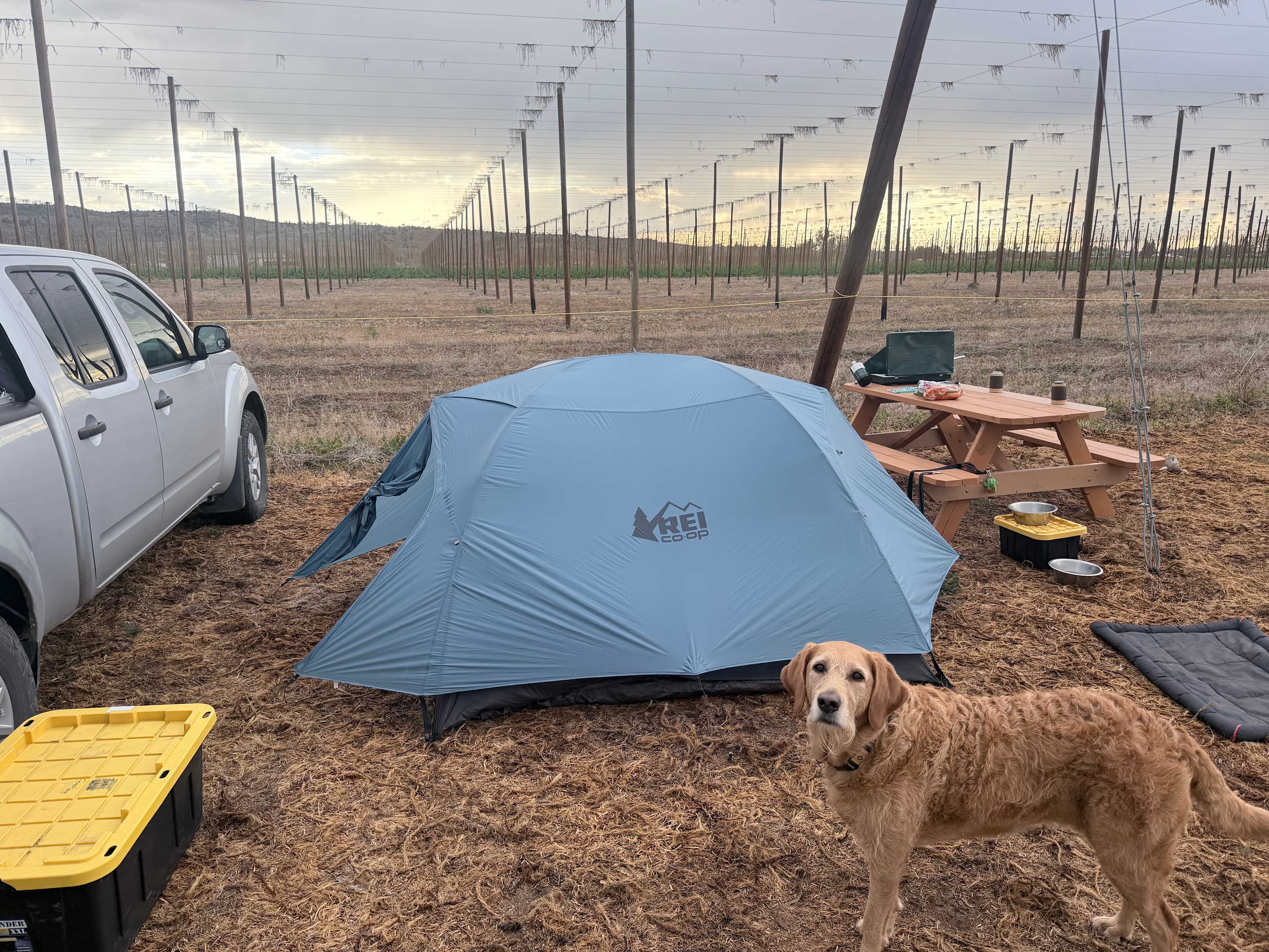 The Hop Yard Hideaway
