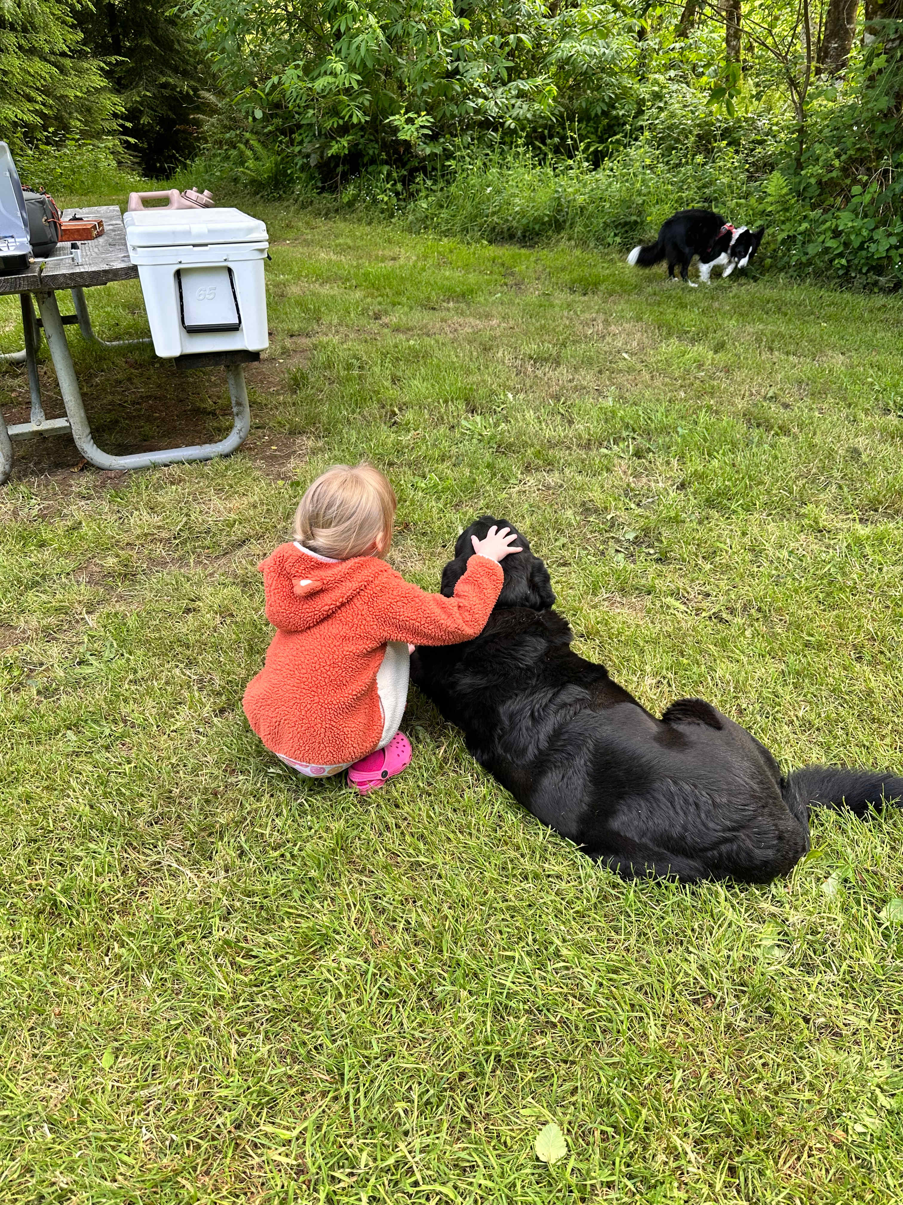 We were visited by Mark’s sweet older black lab - truly a gentle giant!