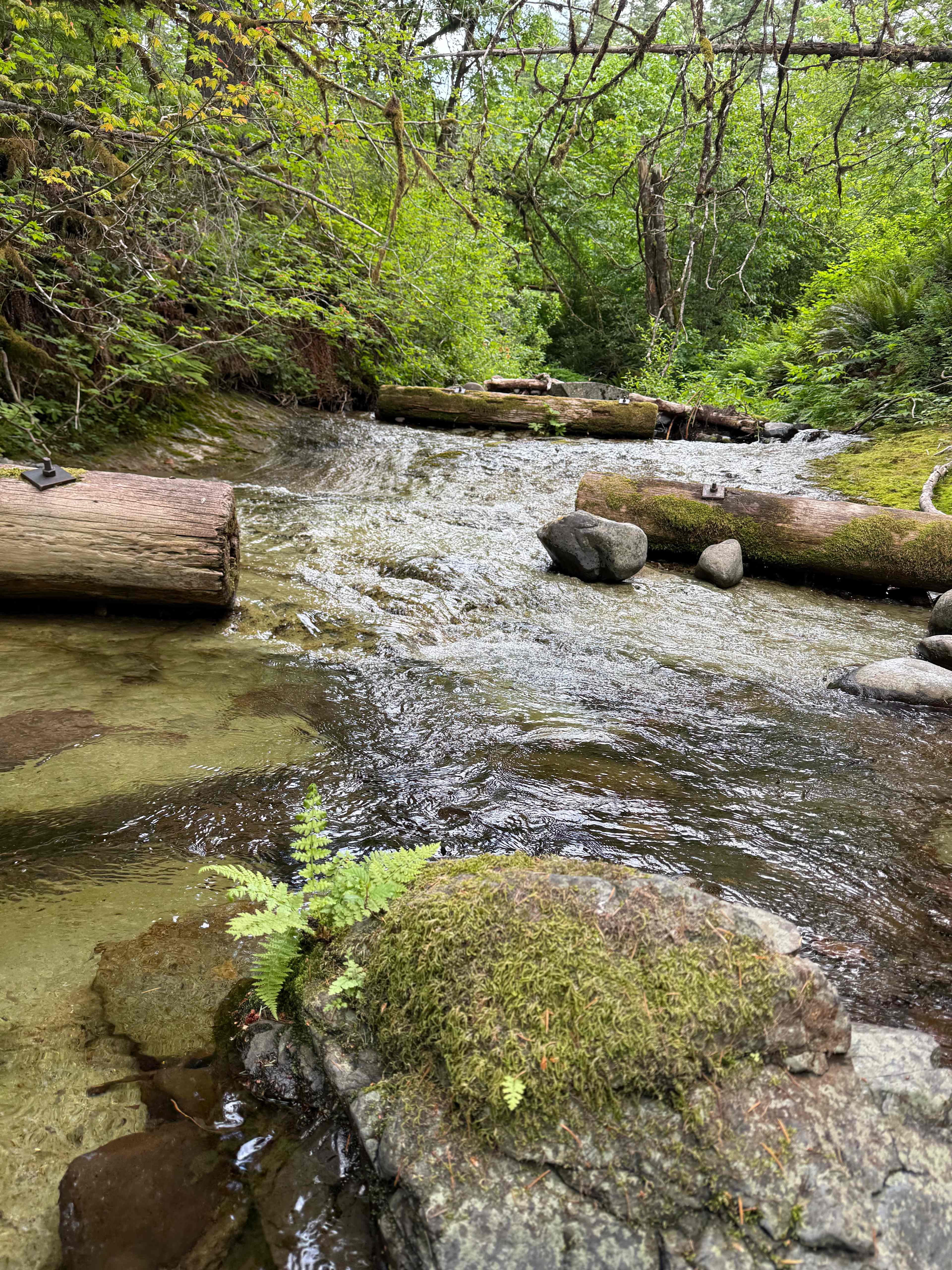 Naked Falls