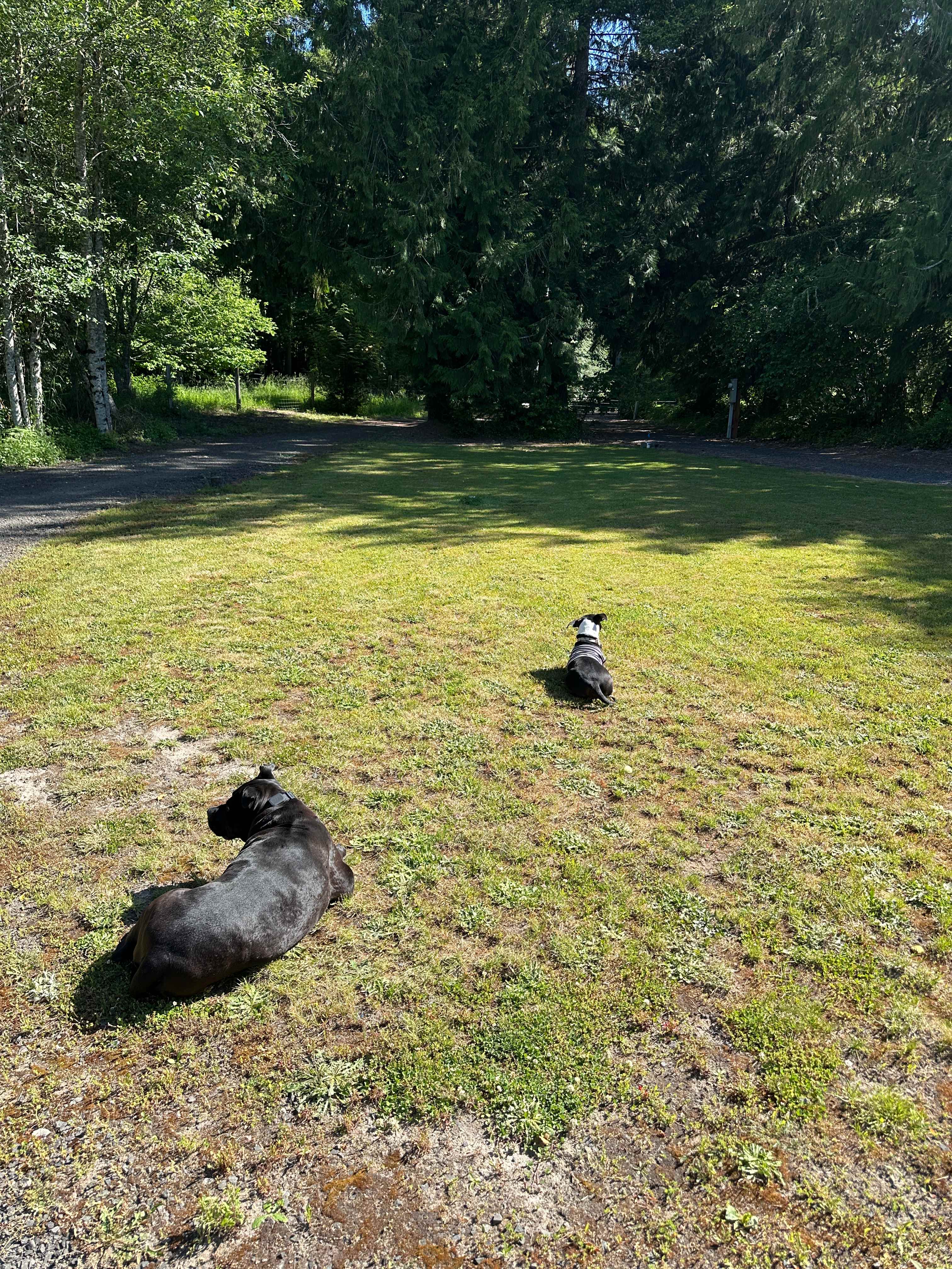 Otter Pond Riverfront Getaway