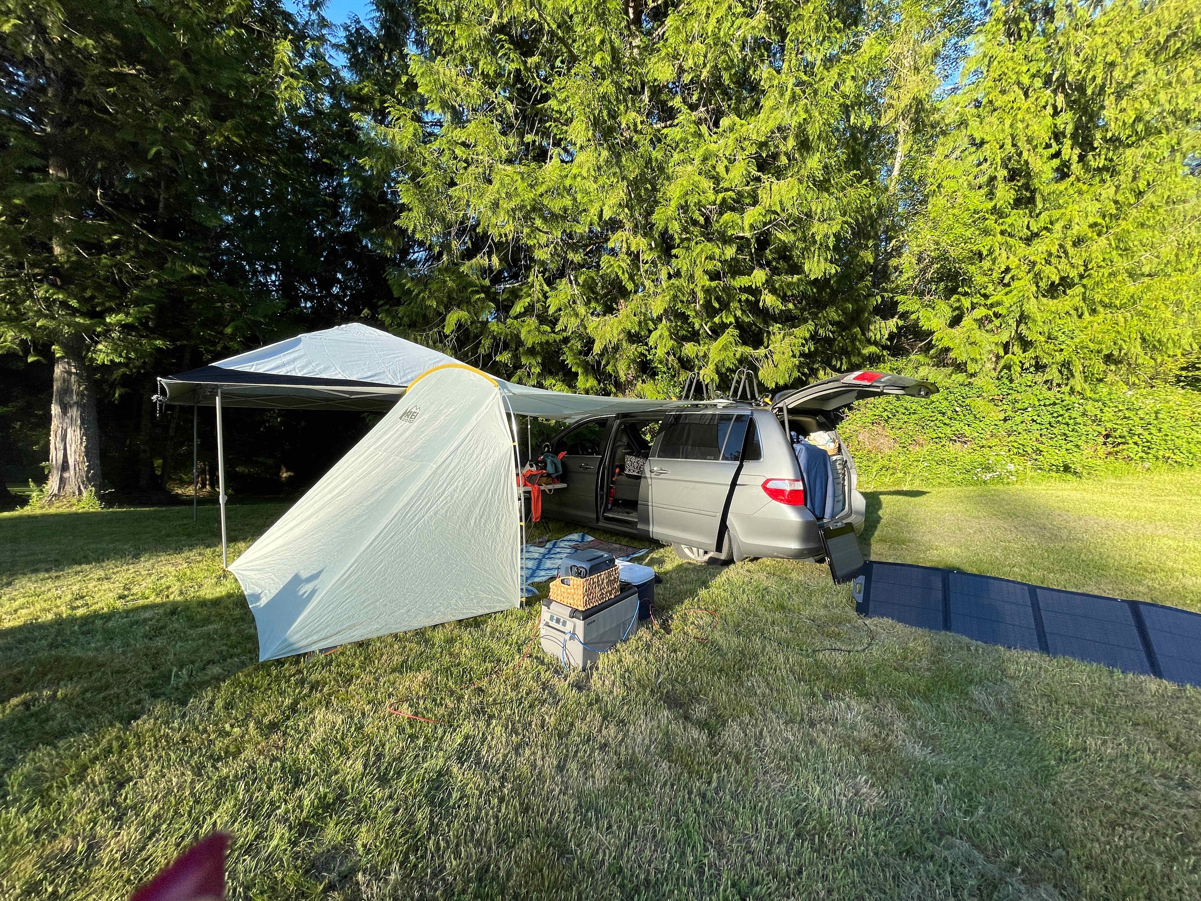 Picture of the site