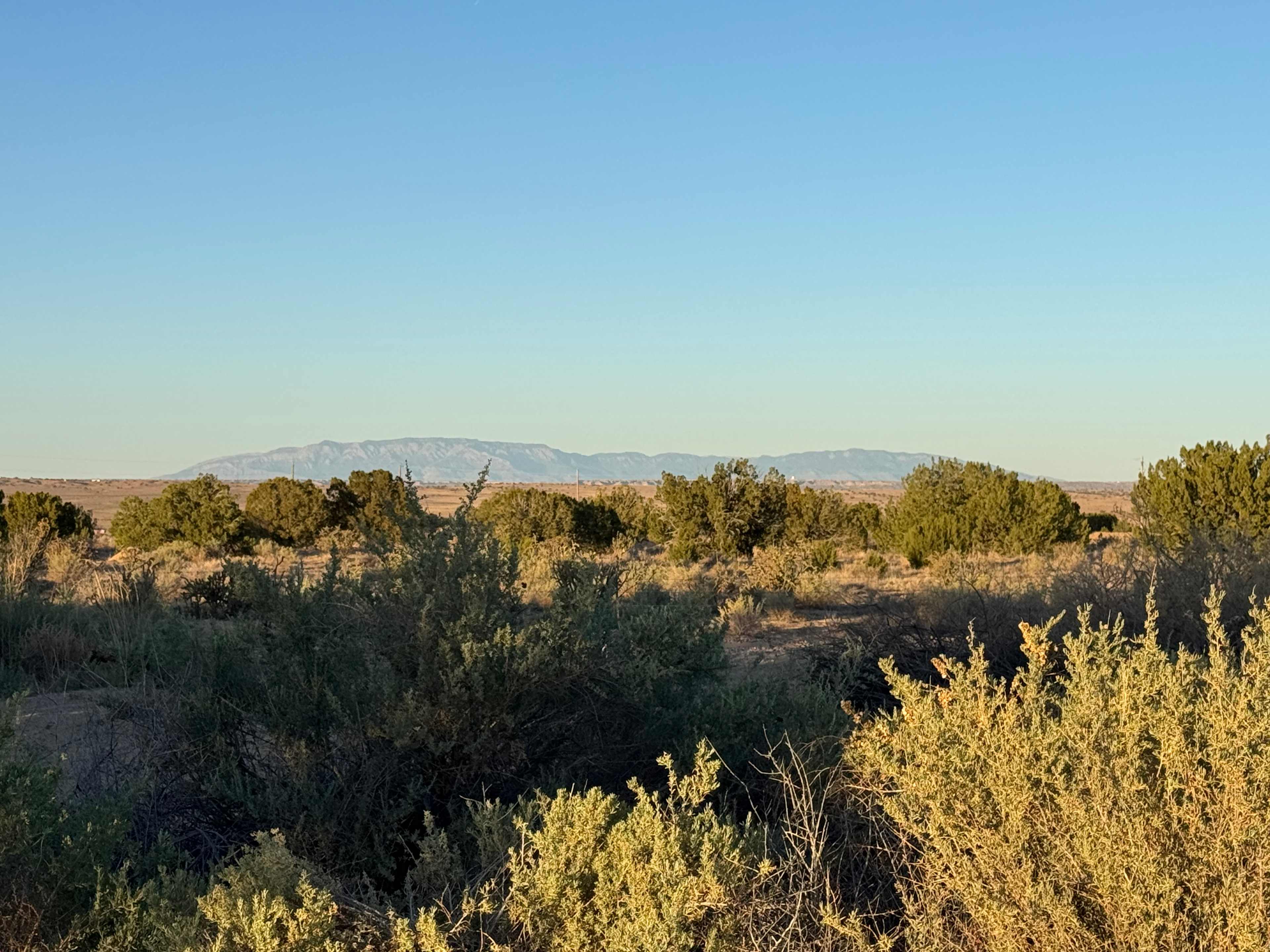 Star Gazer Ranch