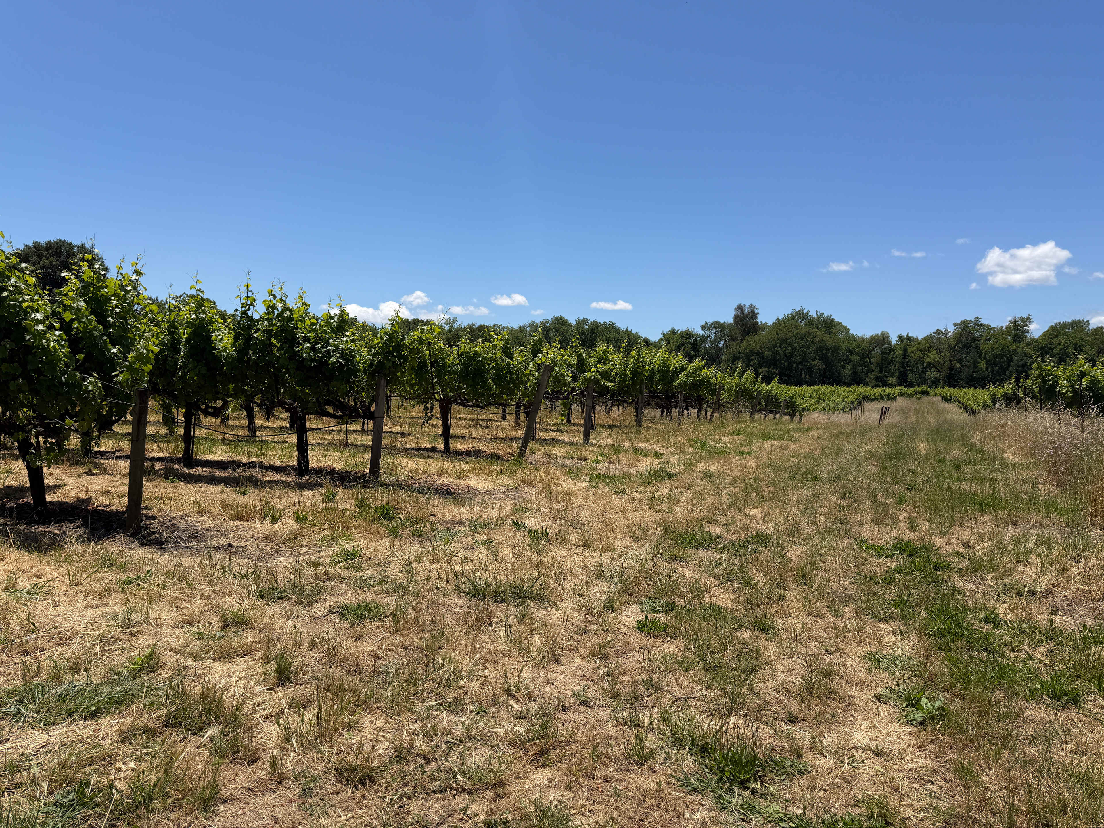 Barn Side - Site 3 -91C