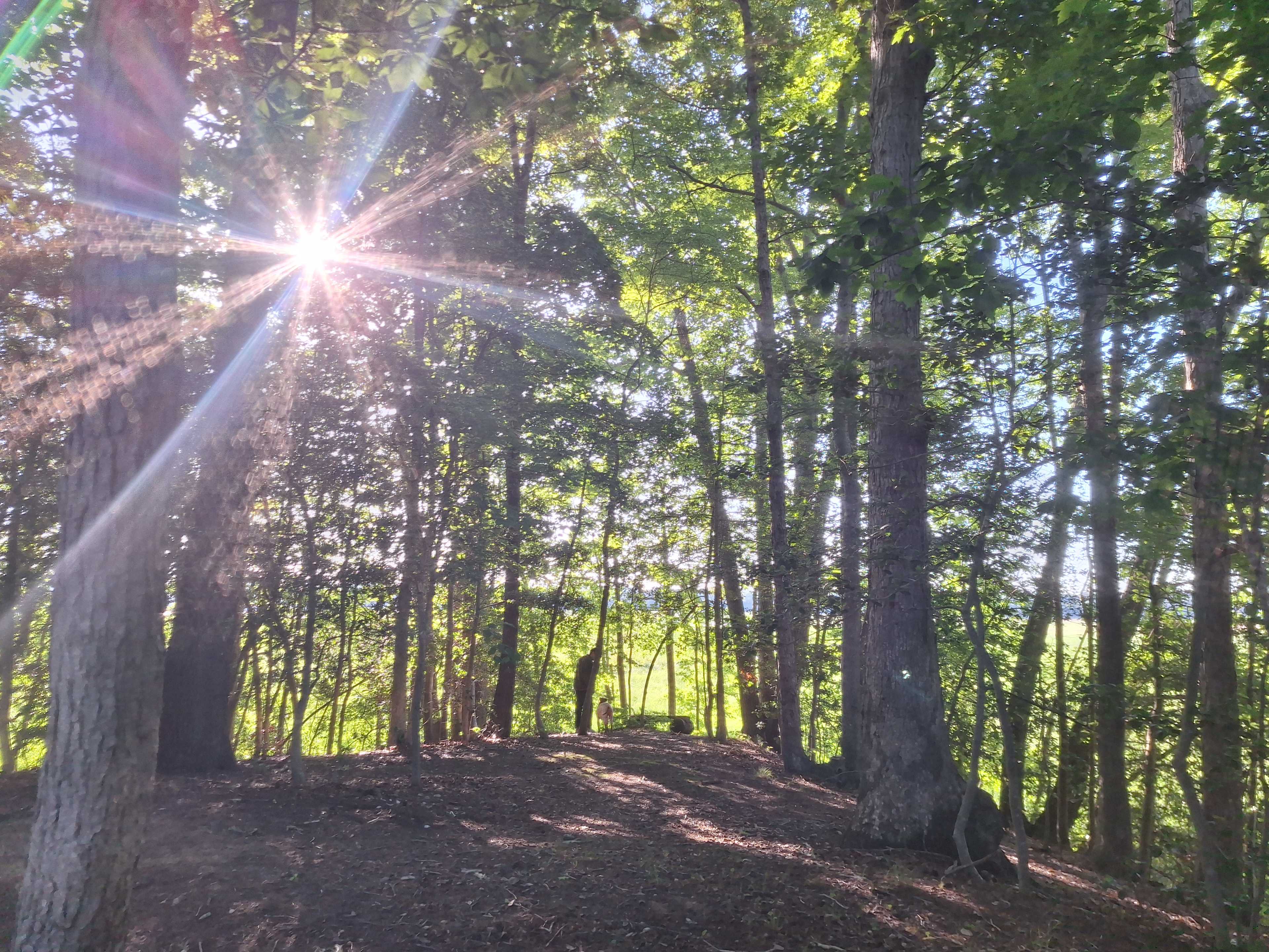 Secluded yet open space to move around