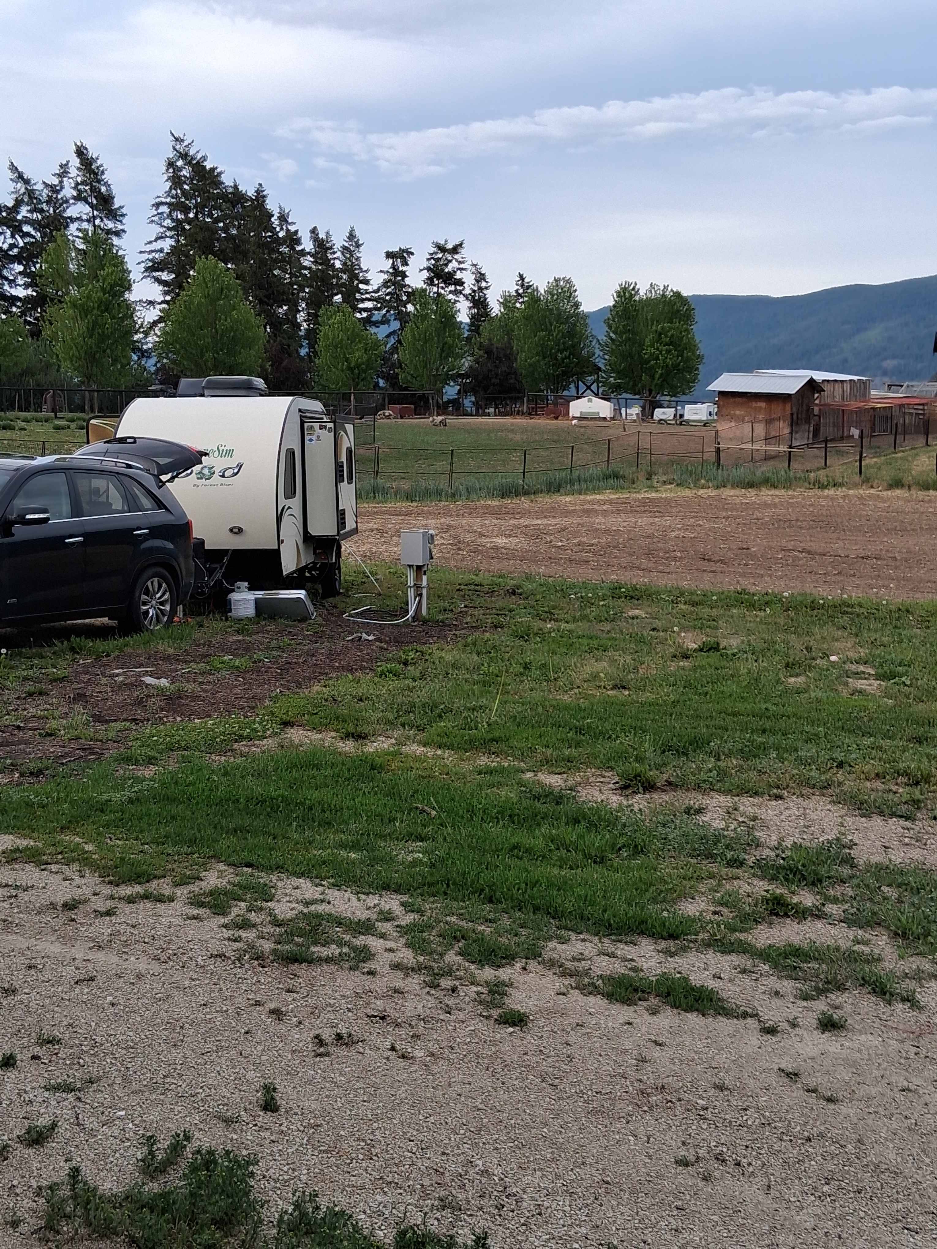 Picture of the site