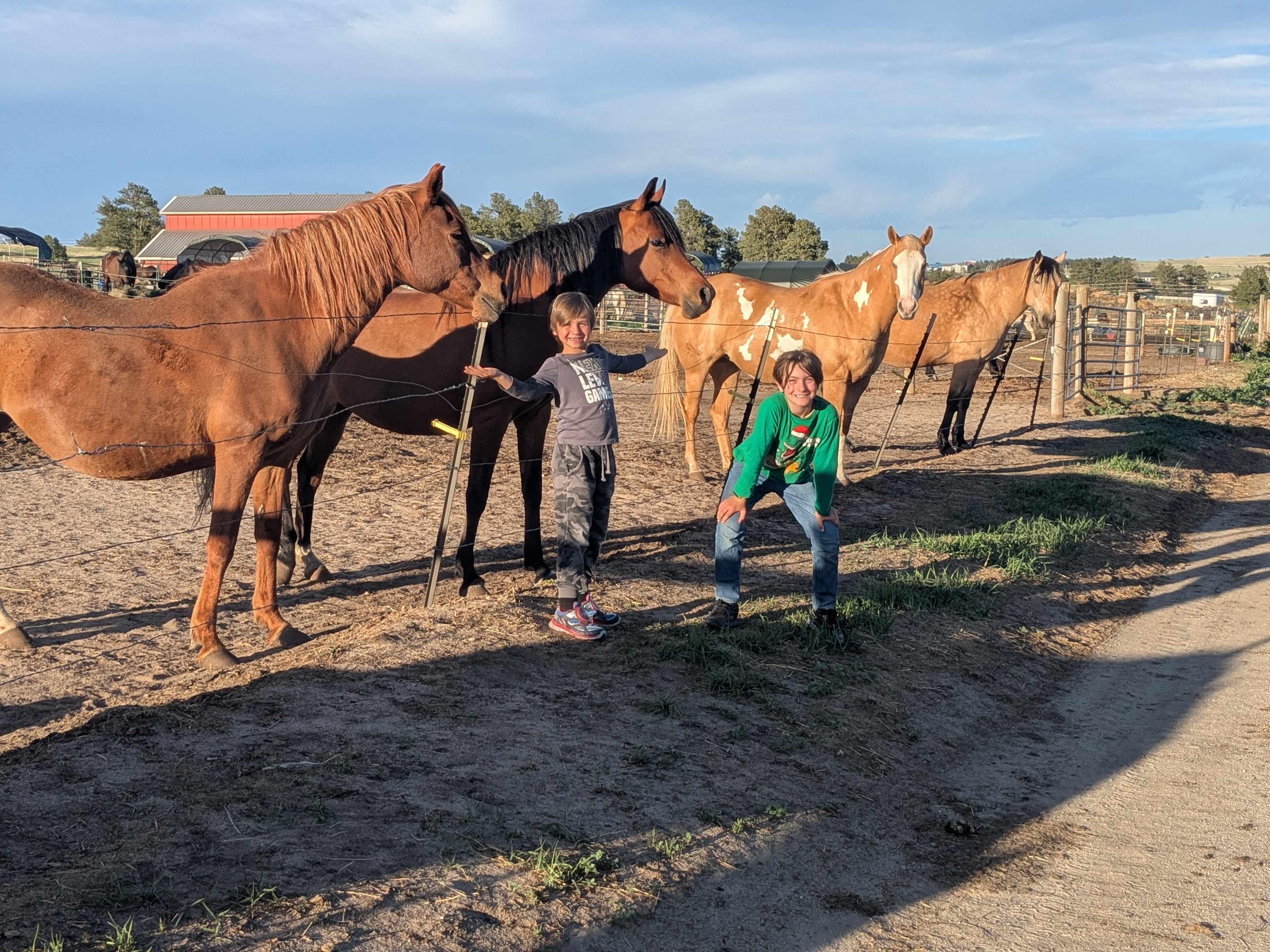 Boys saying hi to the horses