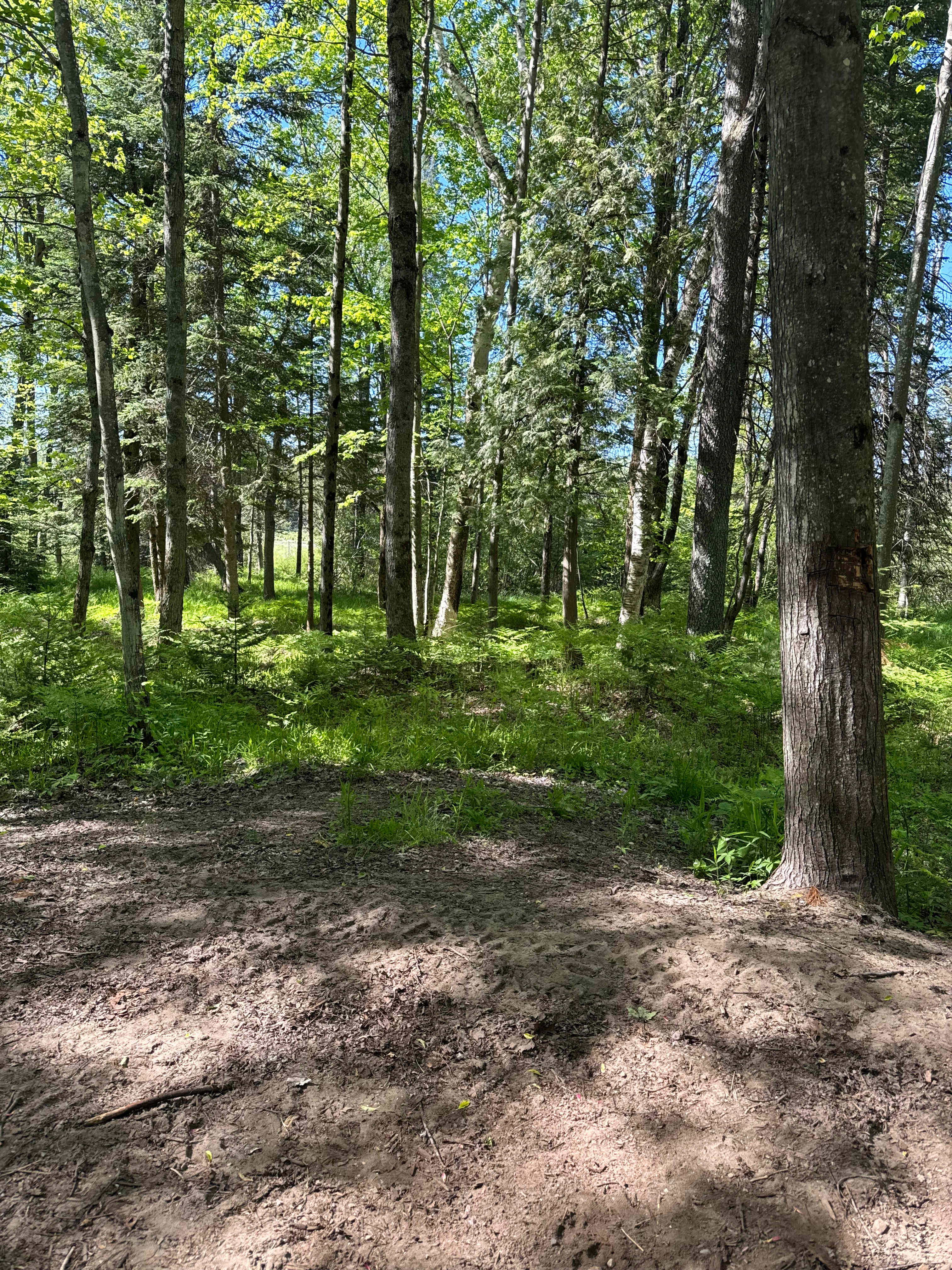 Ricky’s Pine River hunt/camp