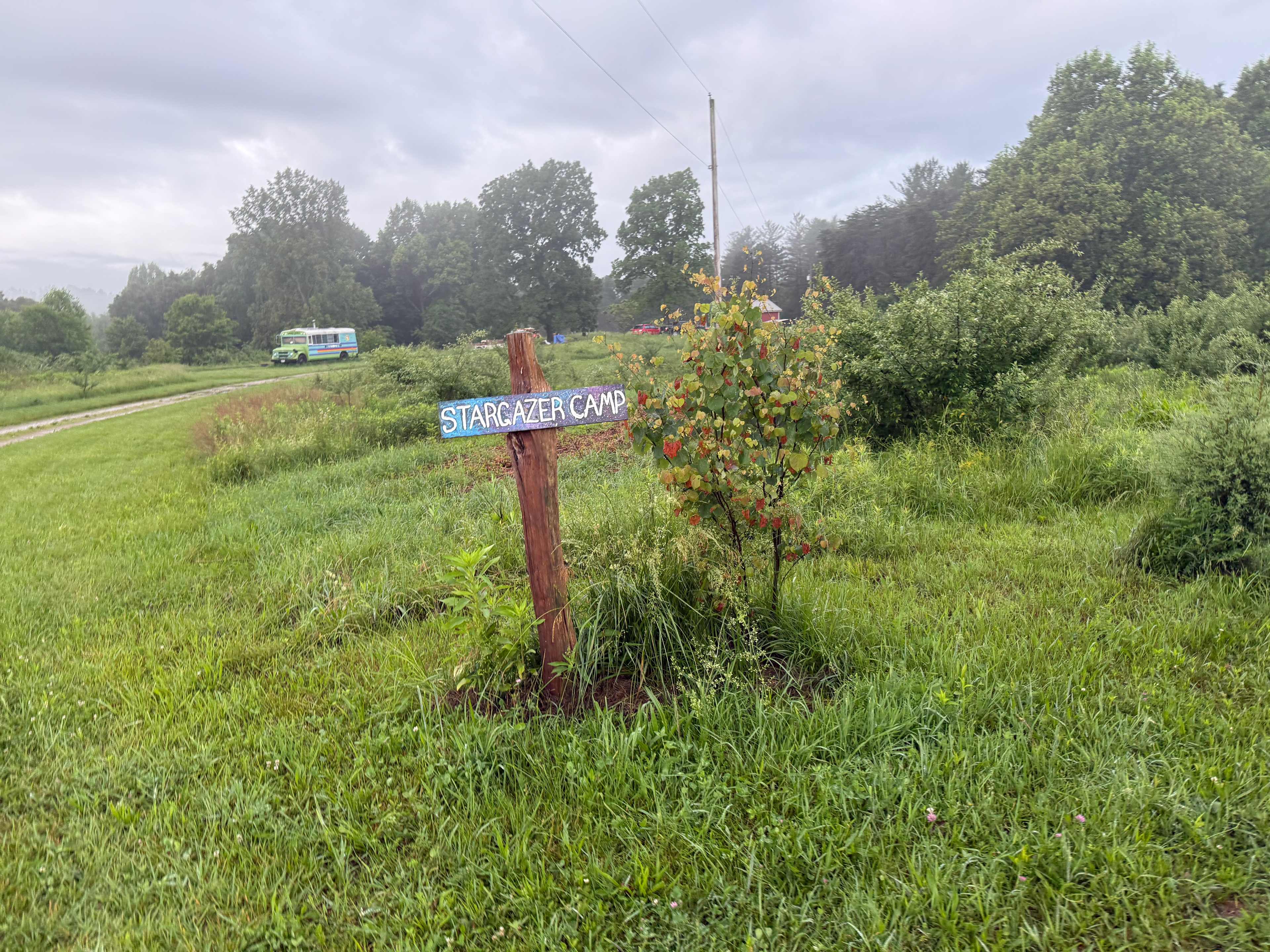 Woody Acres
