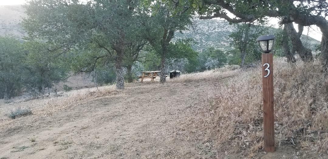Picture of the site