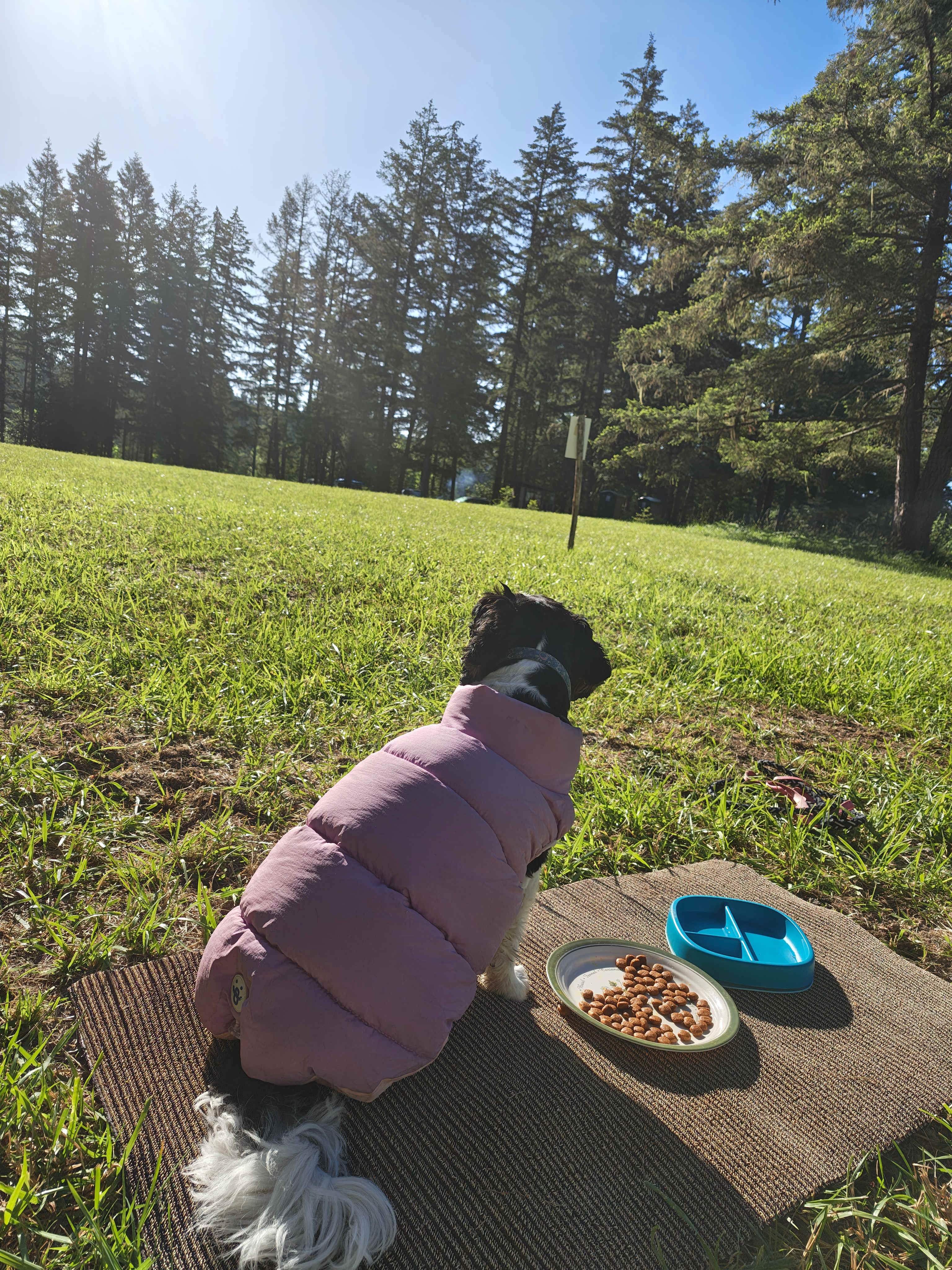 Breakfast in the sunshine. Time to get out of the sleeping bag coat.