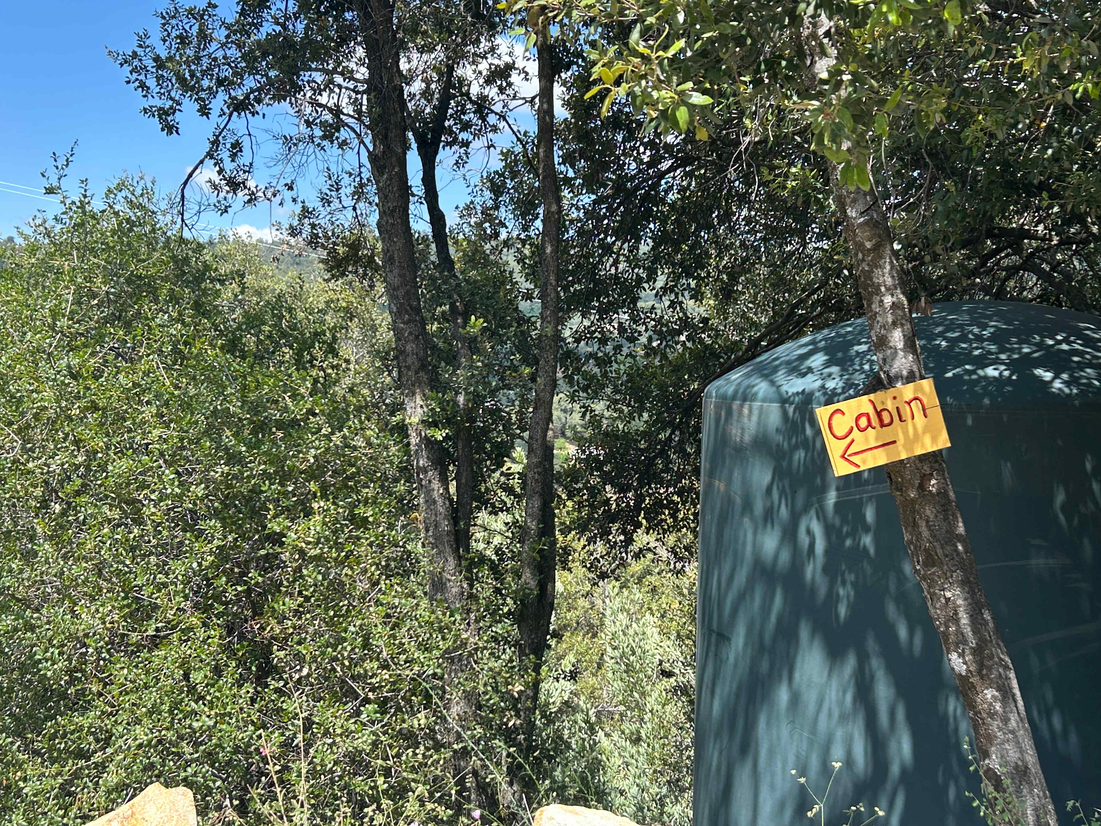yep this way
