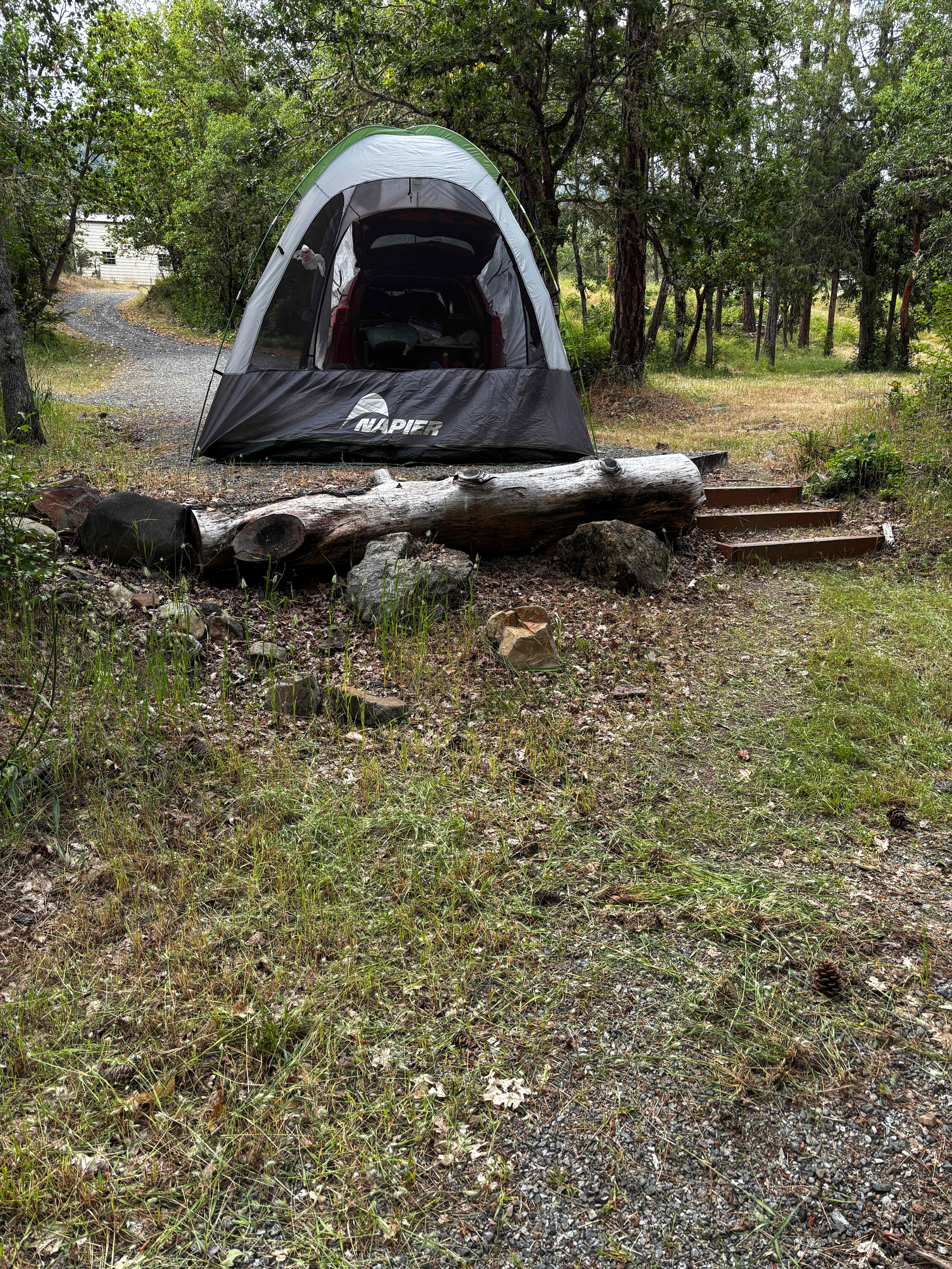 Forested creekside campsite