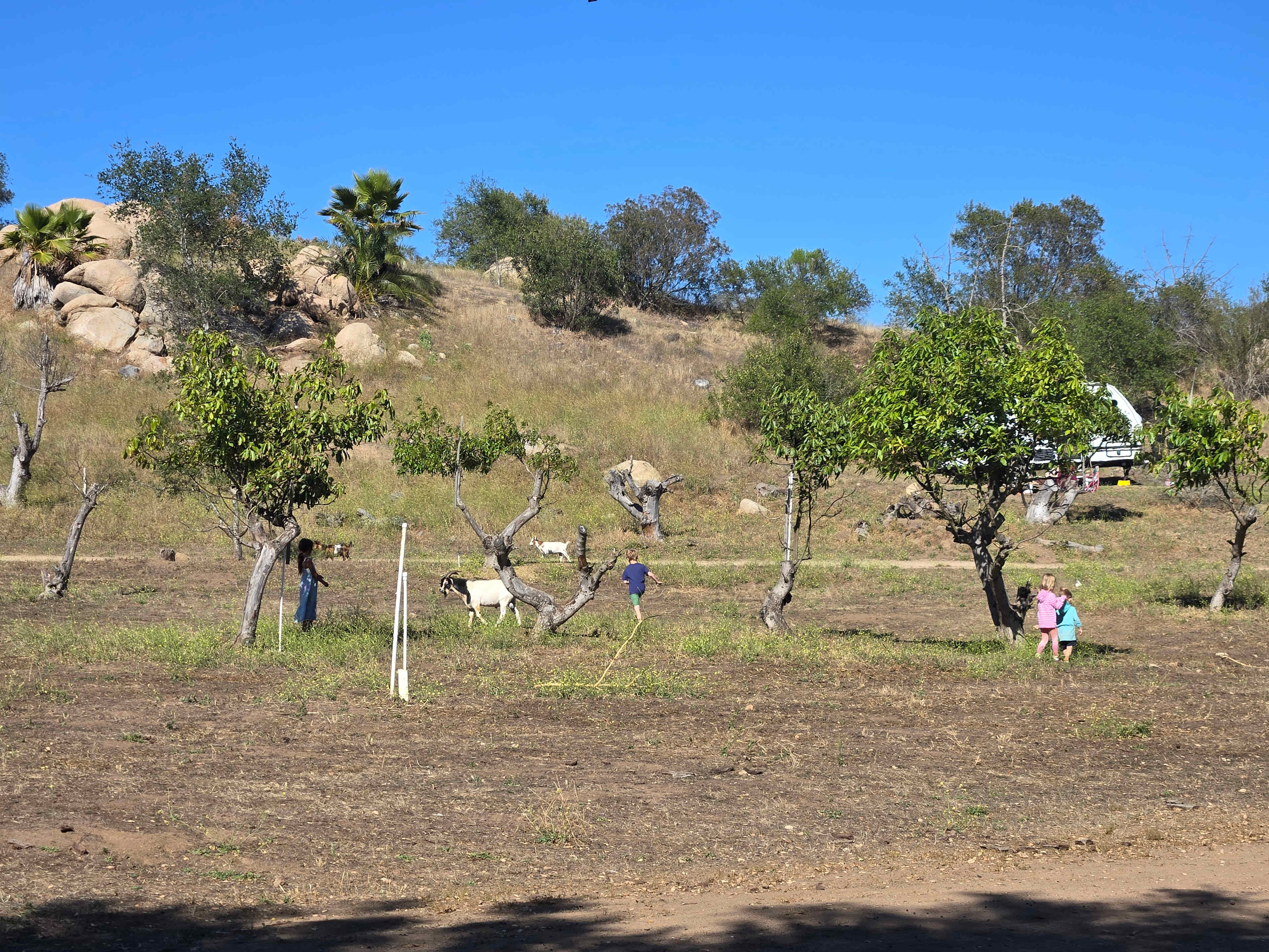 Splitrock Farm and Retreat
