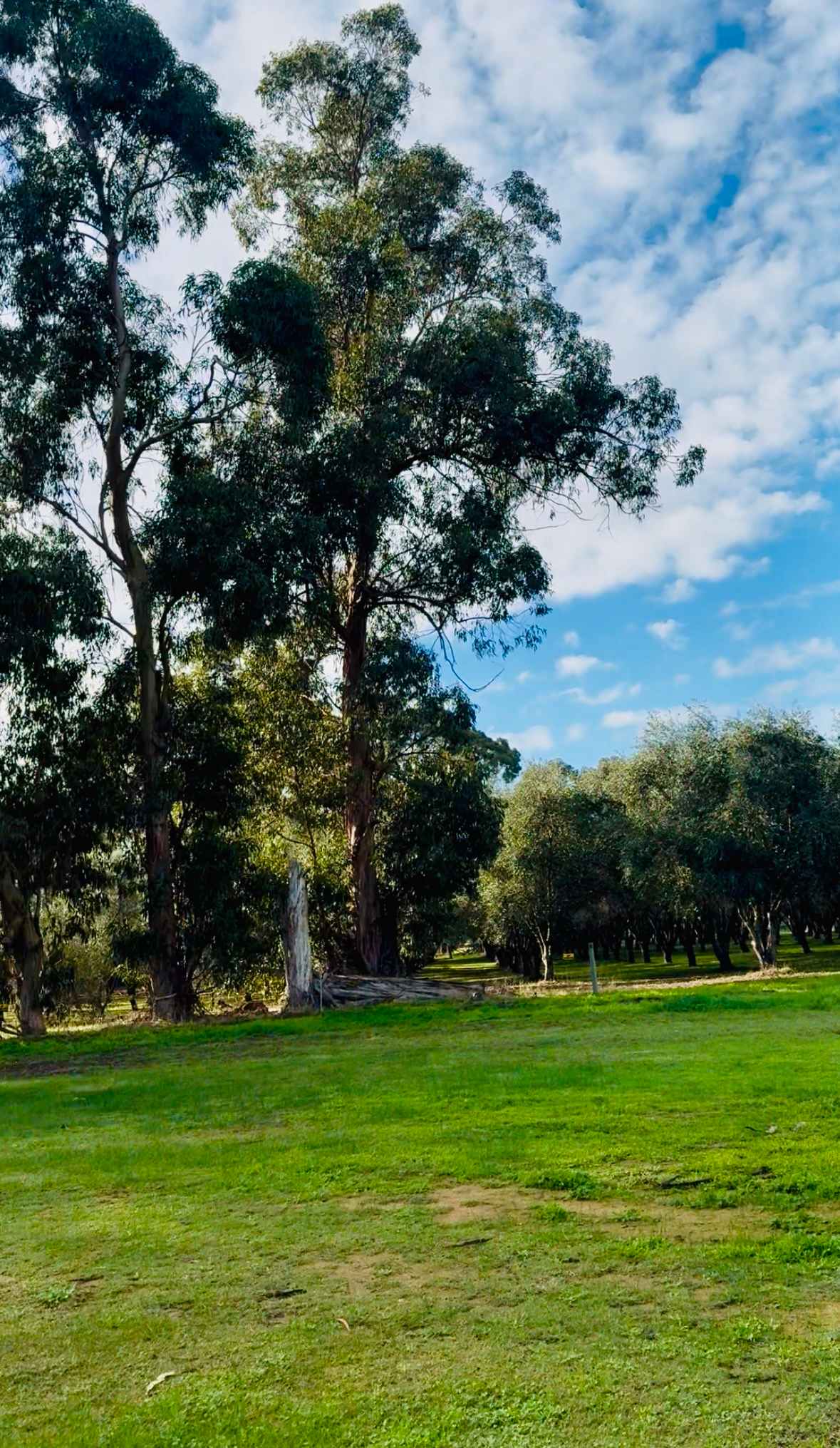 Rural peace in Vasse, Busselton