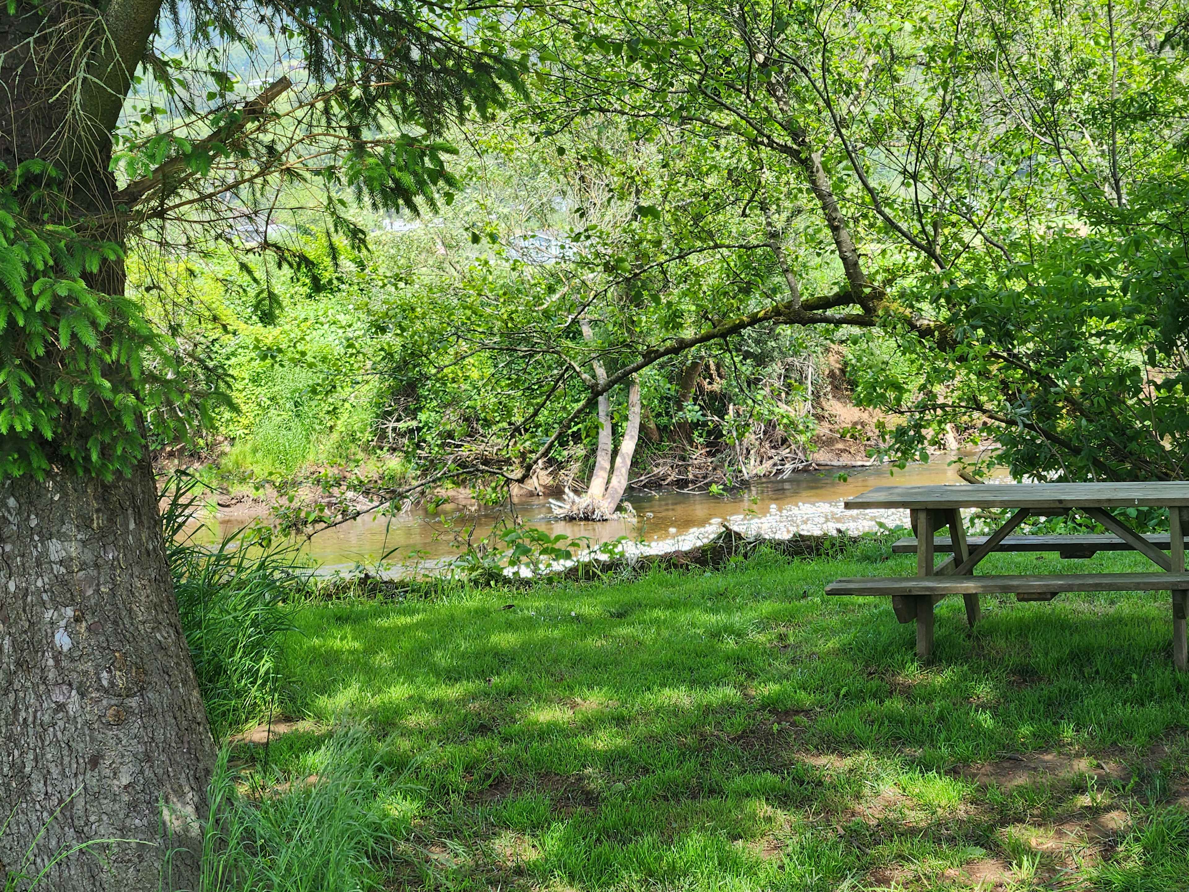 Riverside oasis