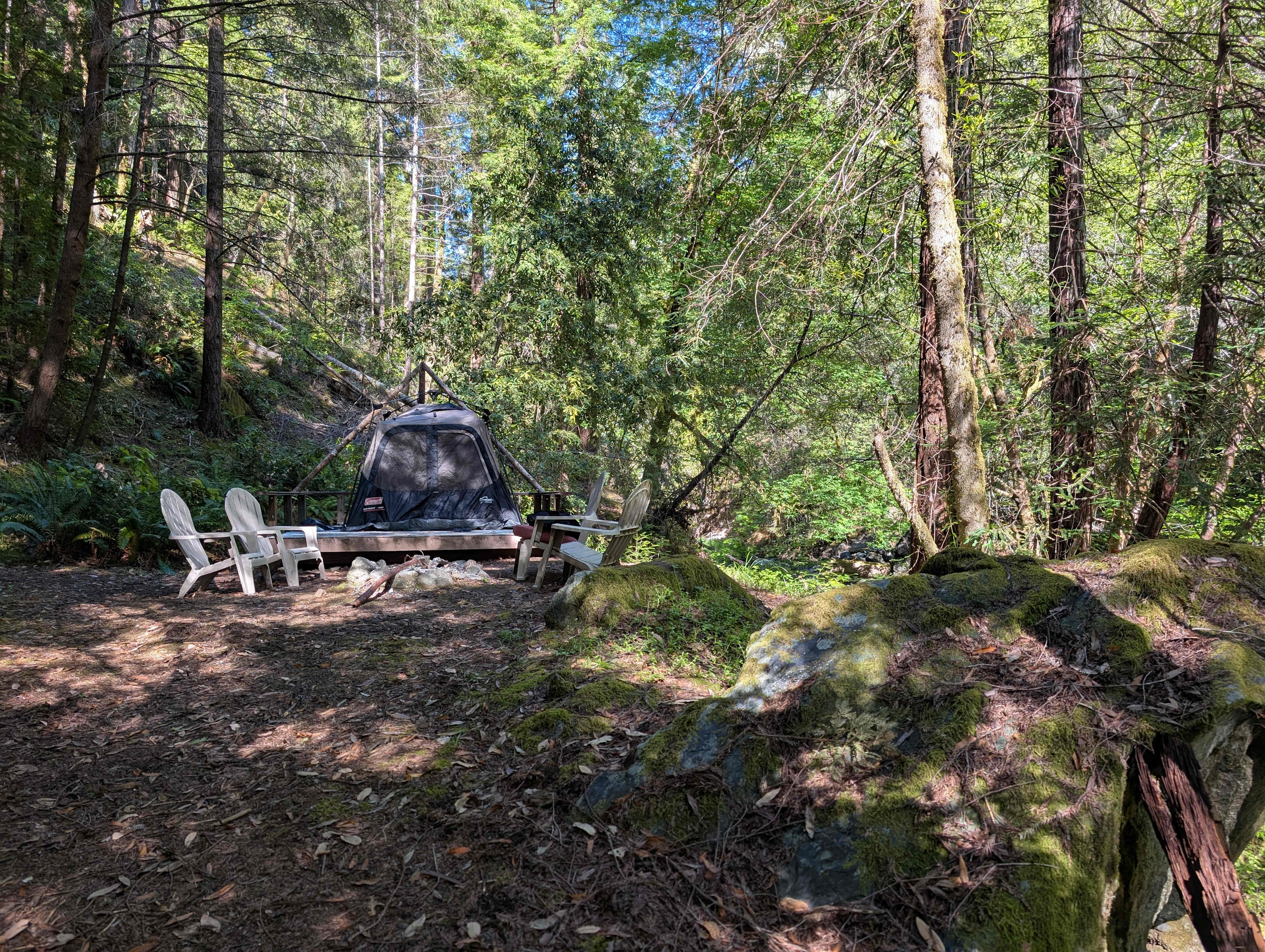 A California Dream: Camp Hoppy