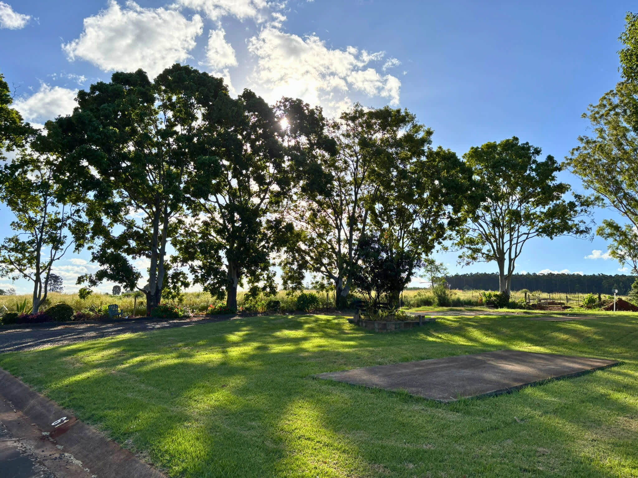 Picture of the site