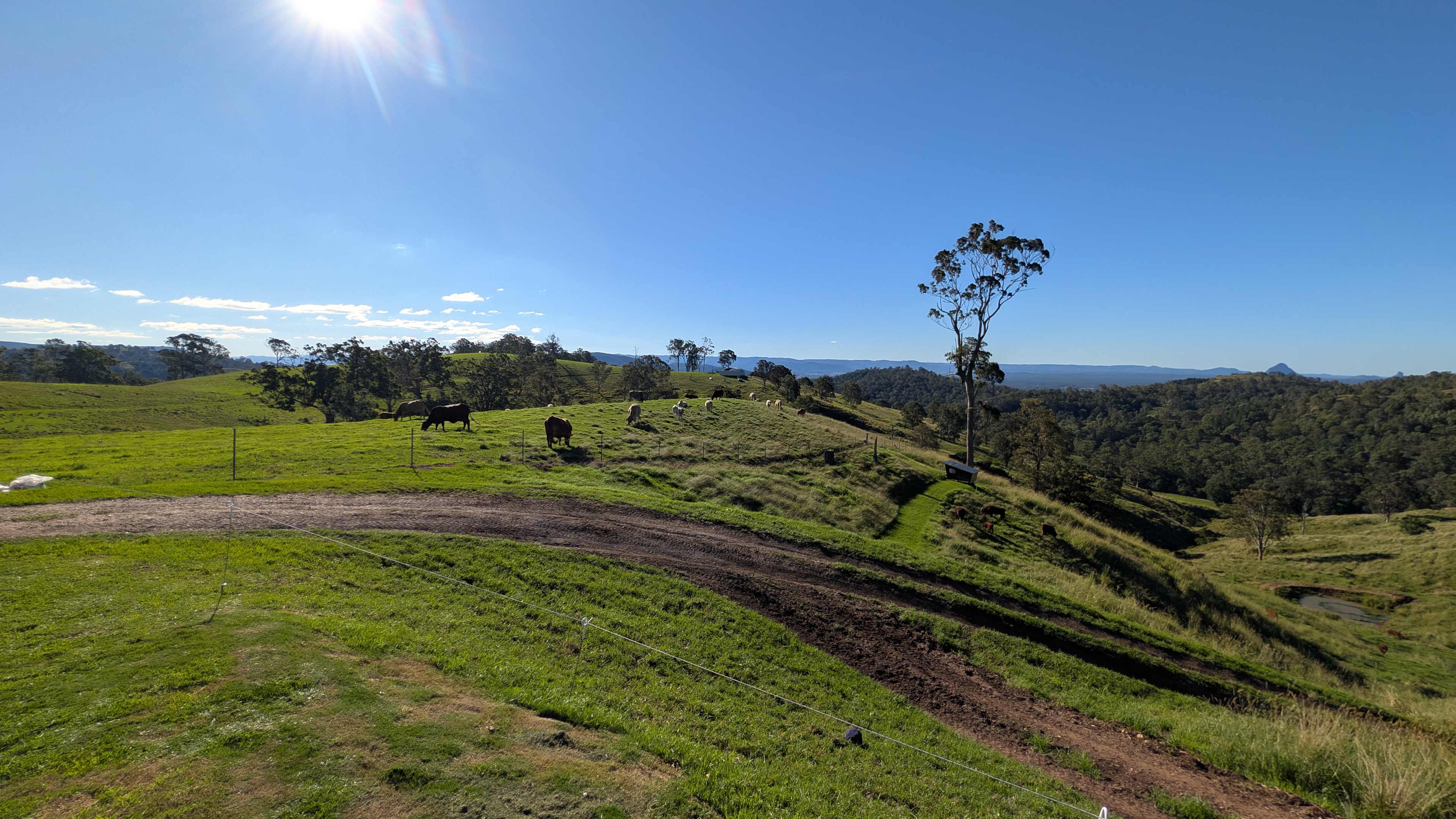 Coorie Vale
