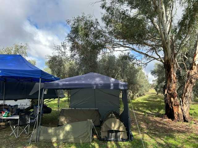 Camping in the Rosnay Olive Grove