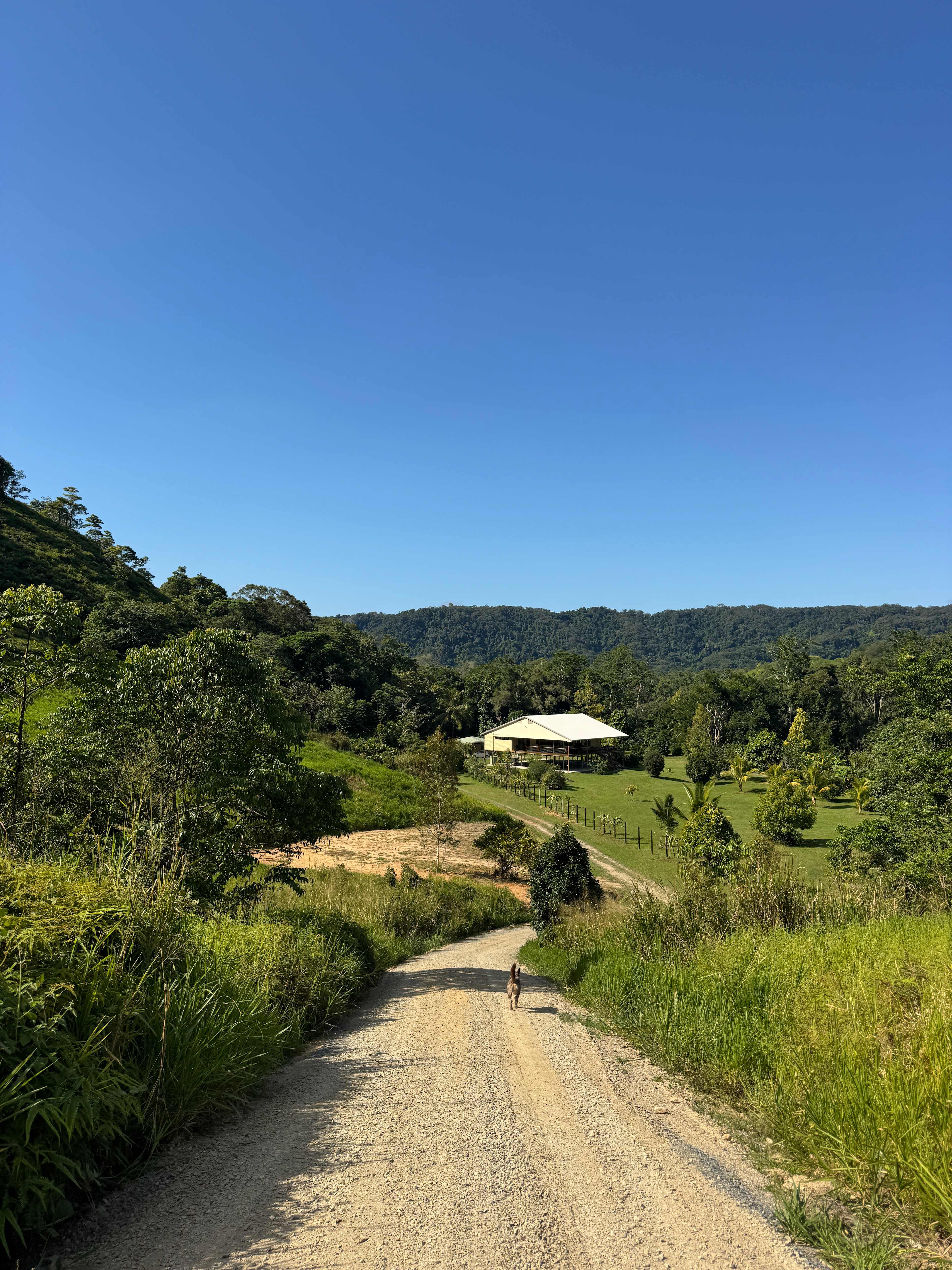Beauty Spot Valley Organic Farmstay