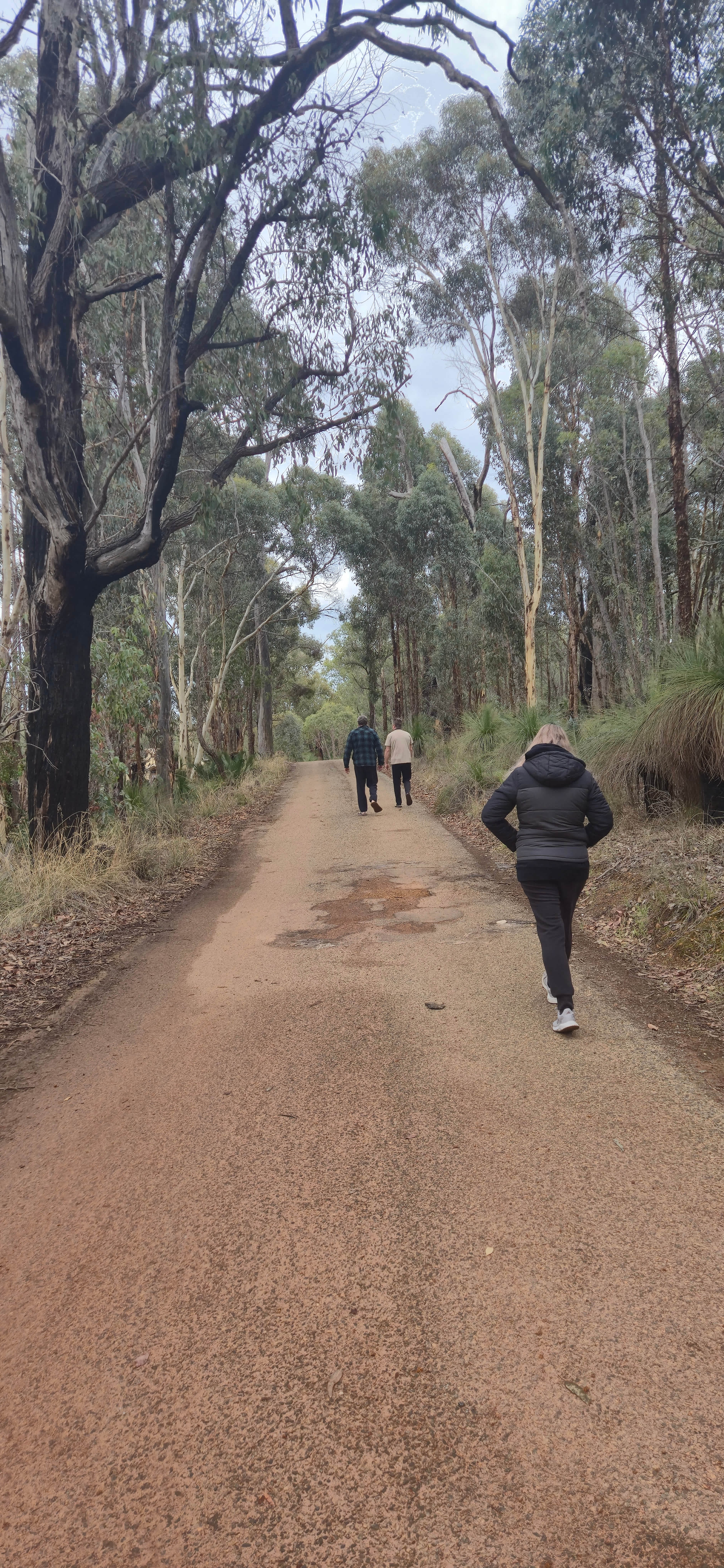 The bike riding track