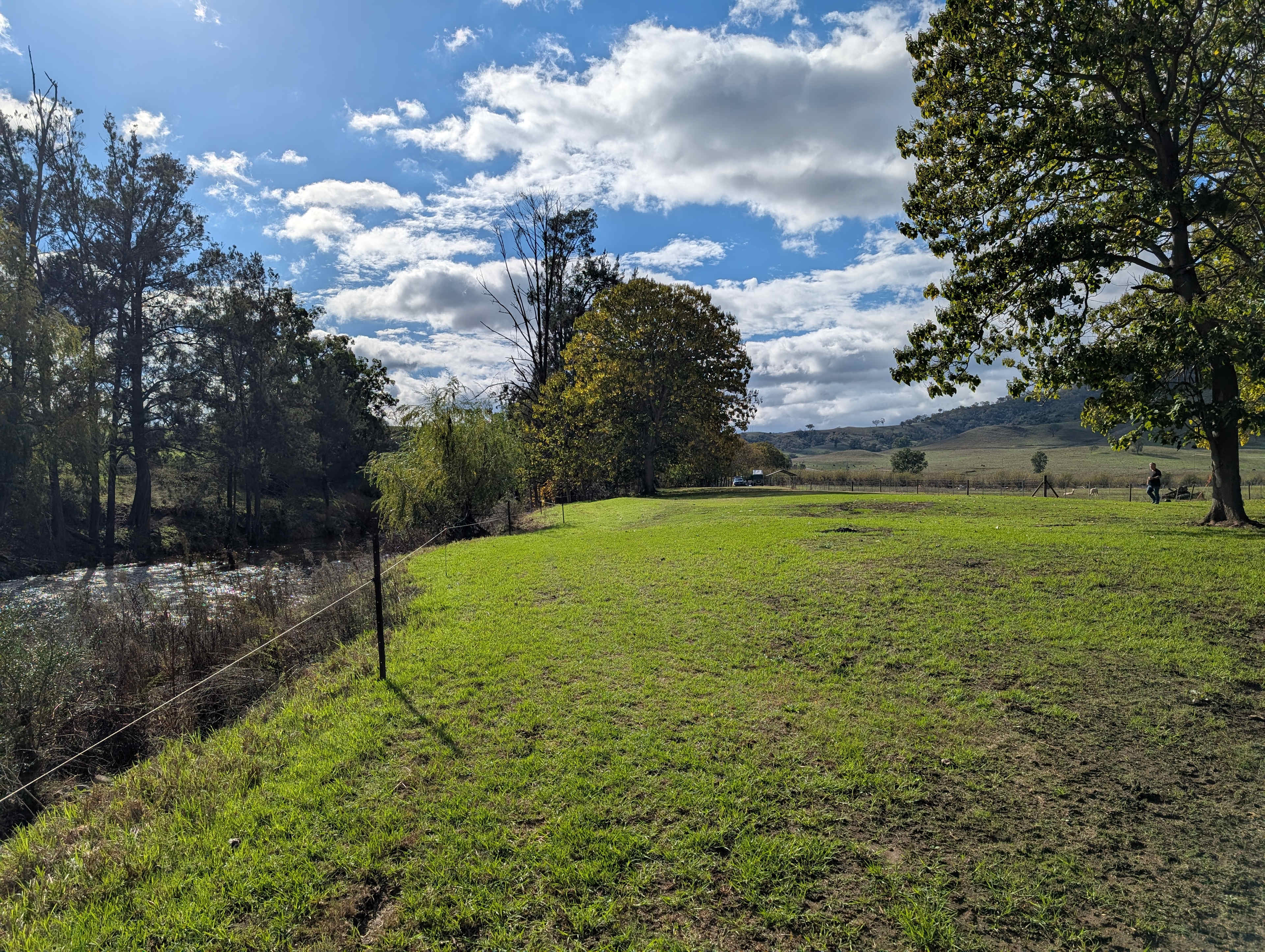 Roma Orchard - Hunter Valley