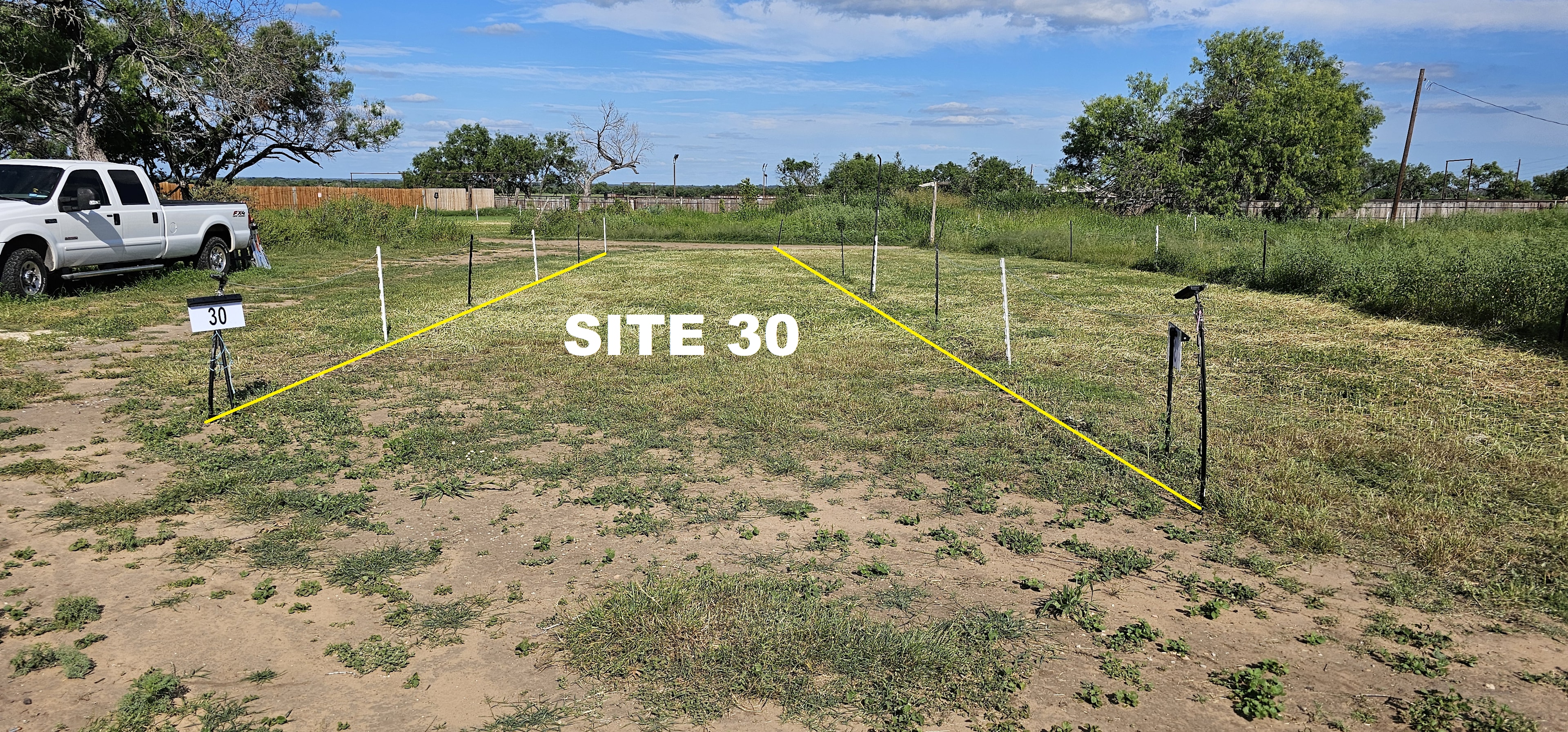 Picture of the site