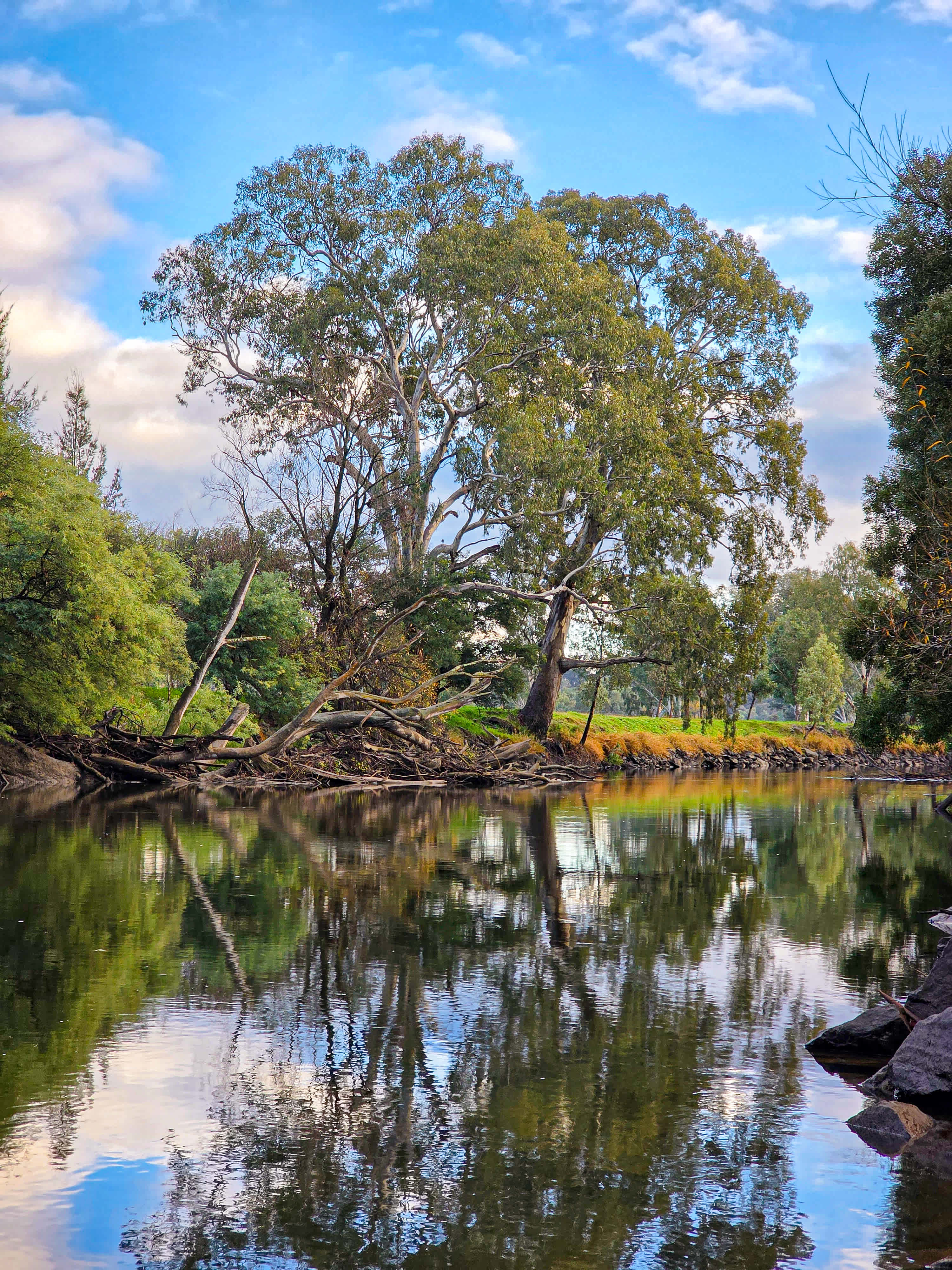 Bahwidgee on Tumut River