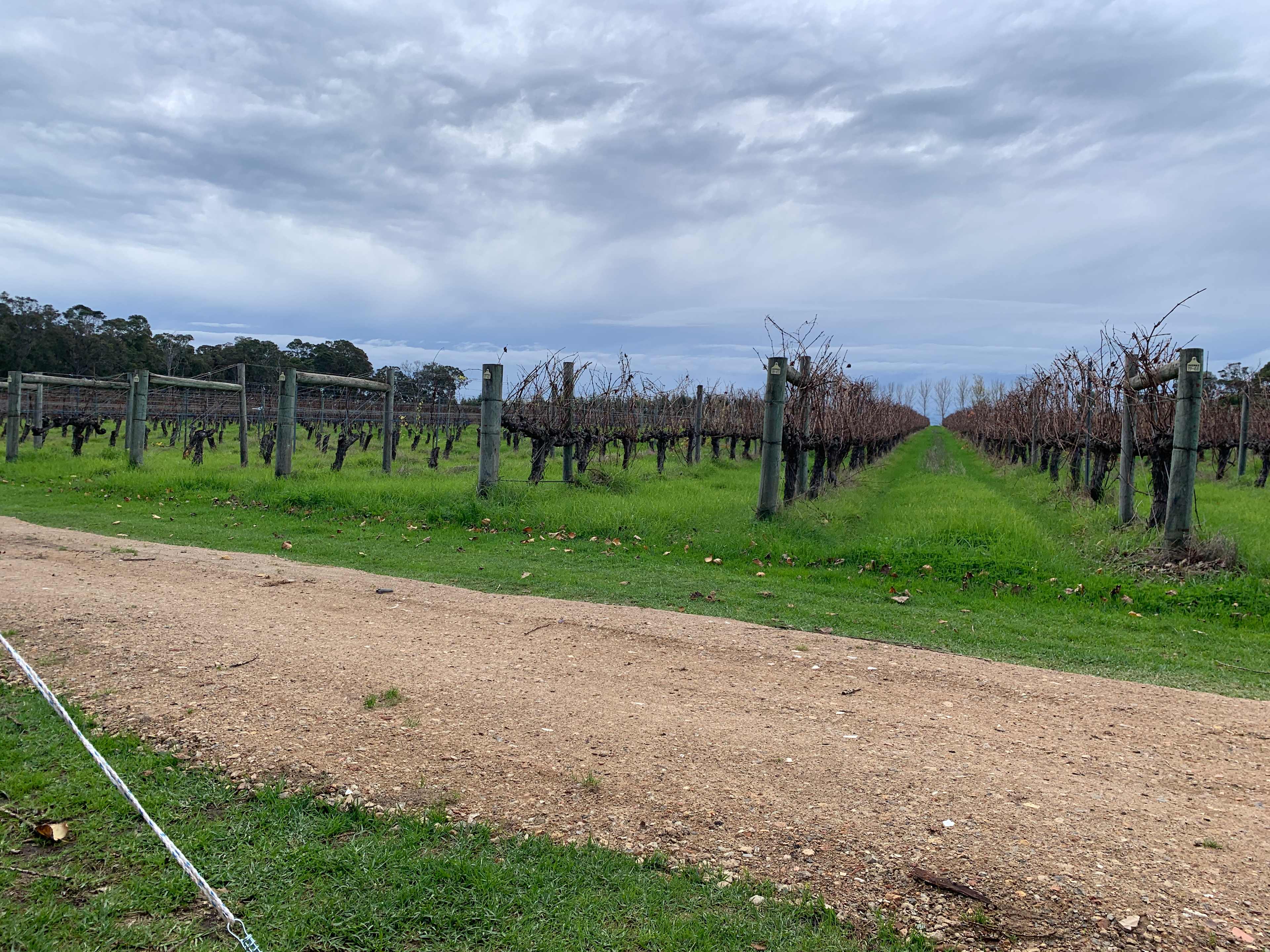 Jarvis Estate Winery & Camping