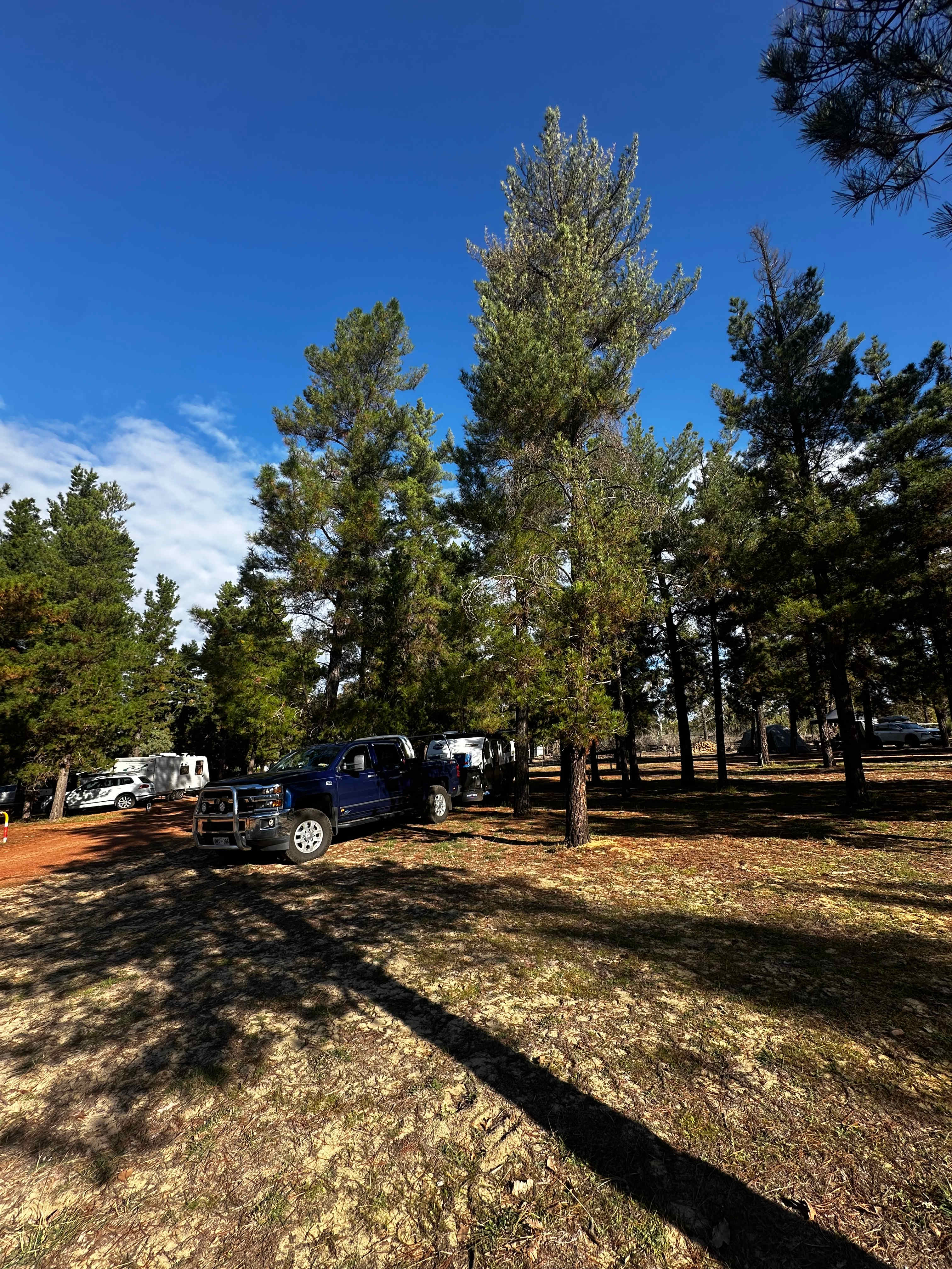 Little Eeden Farm Pine Camp