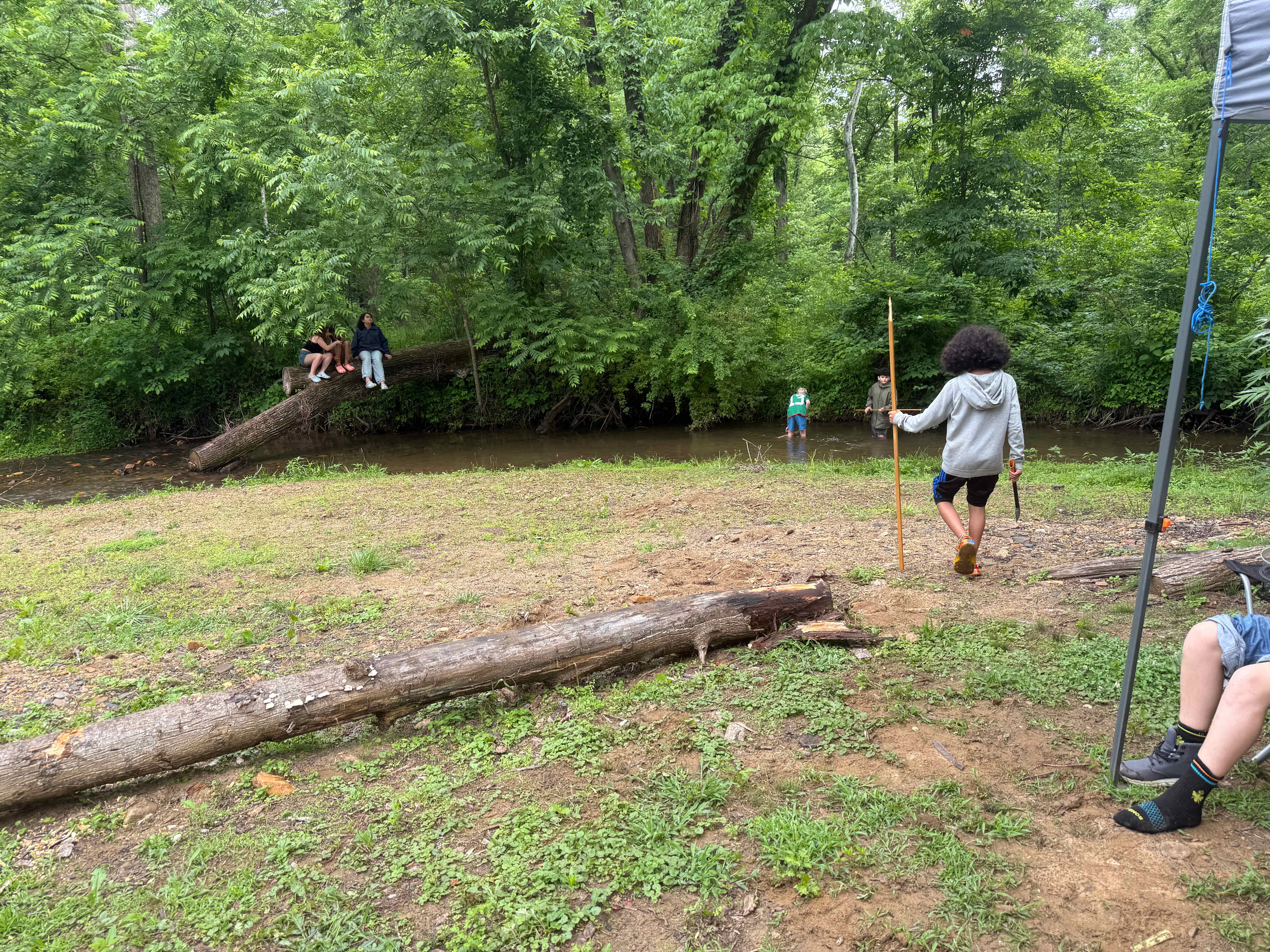 TangleWood Creekside Campsites