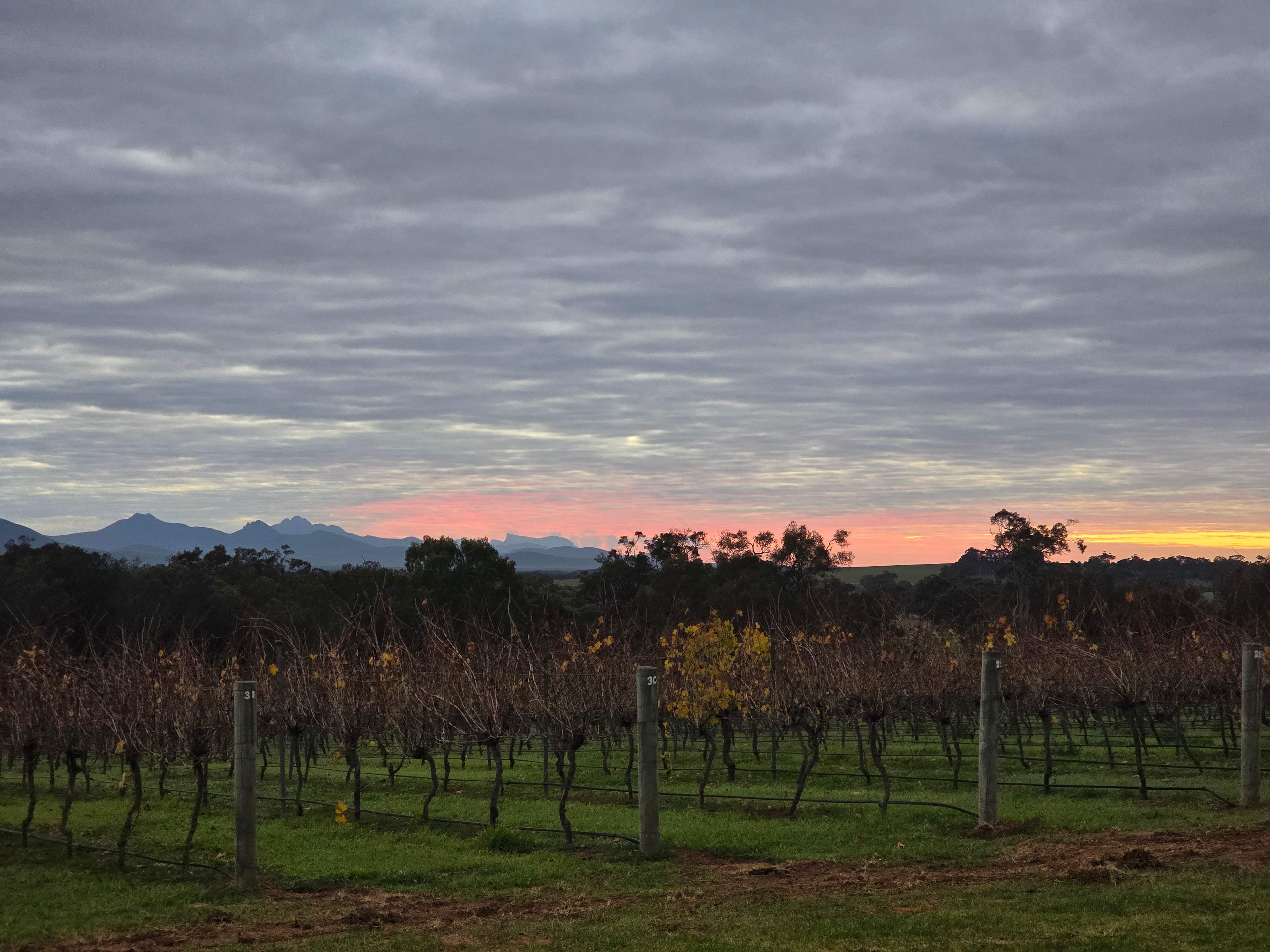 Mondurup Escape - Kendenup