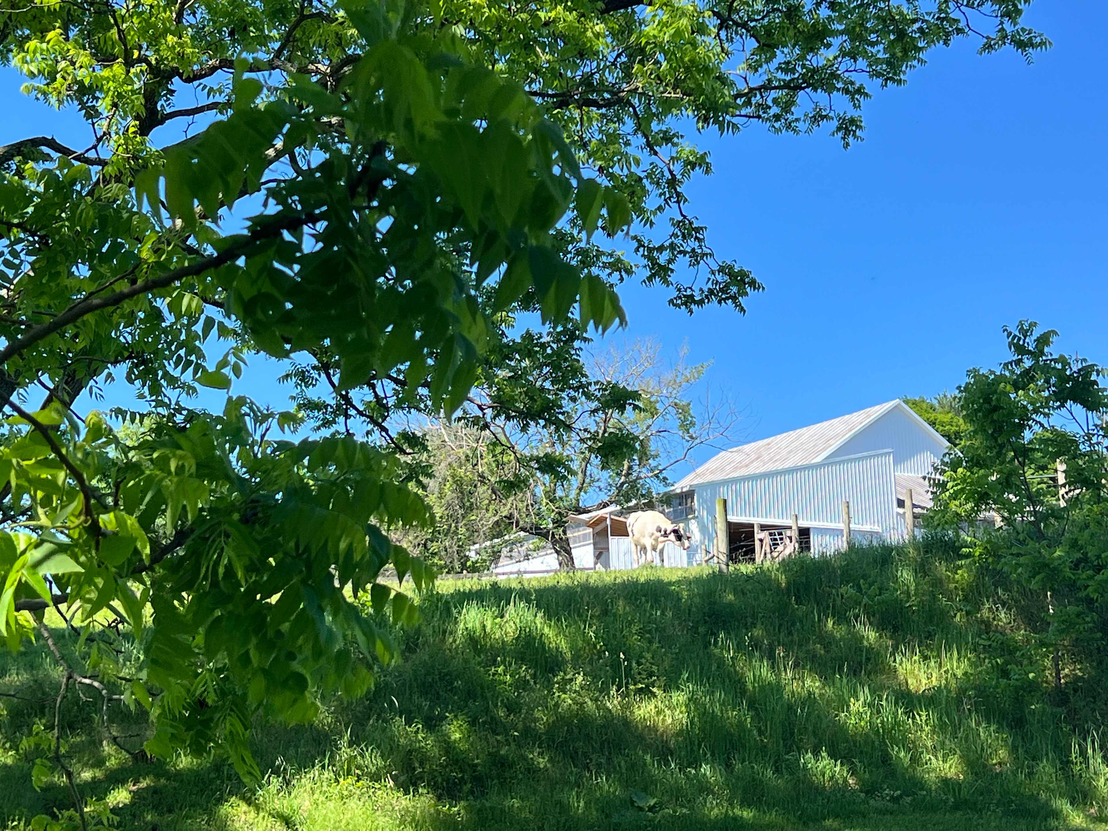 Morningstar Farmstead