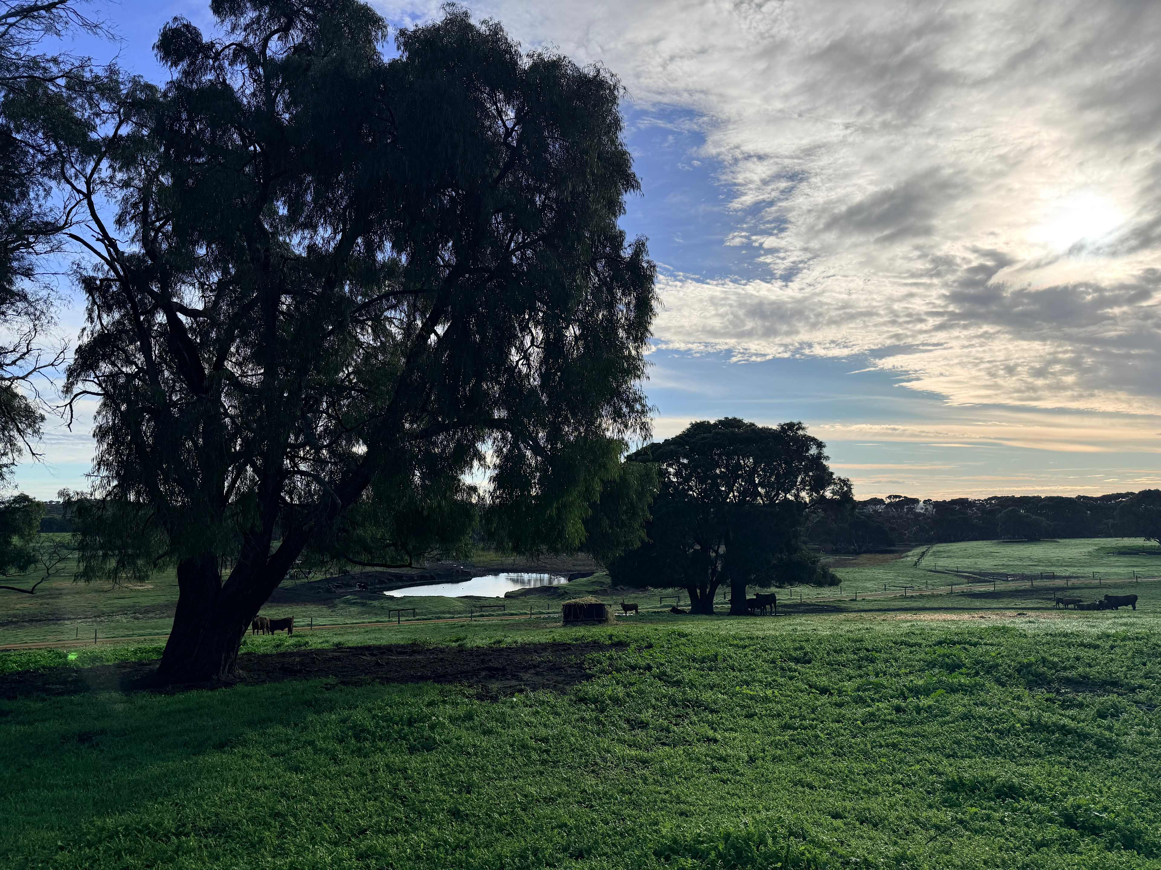 Dunmore Homestead Farmstay