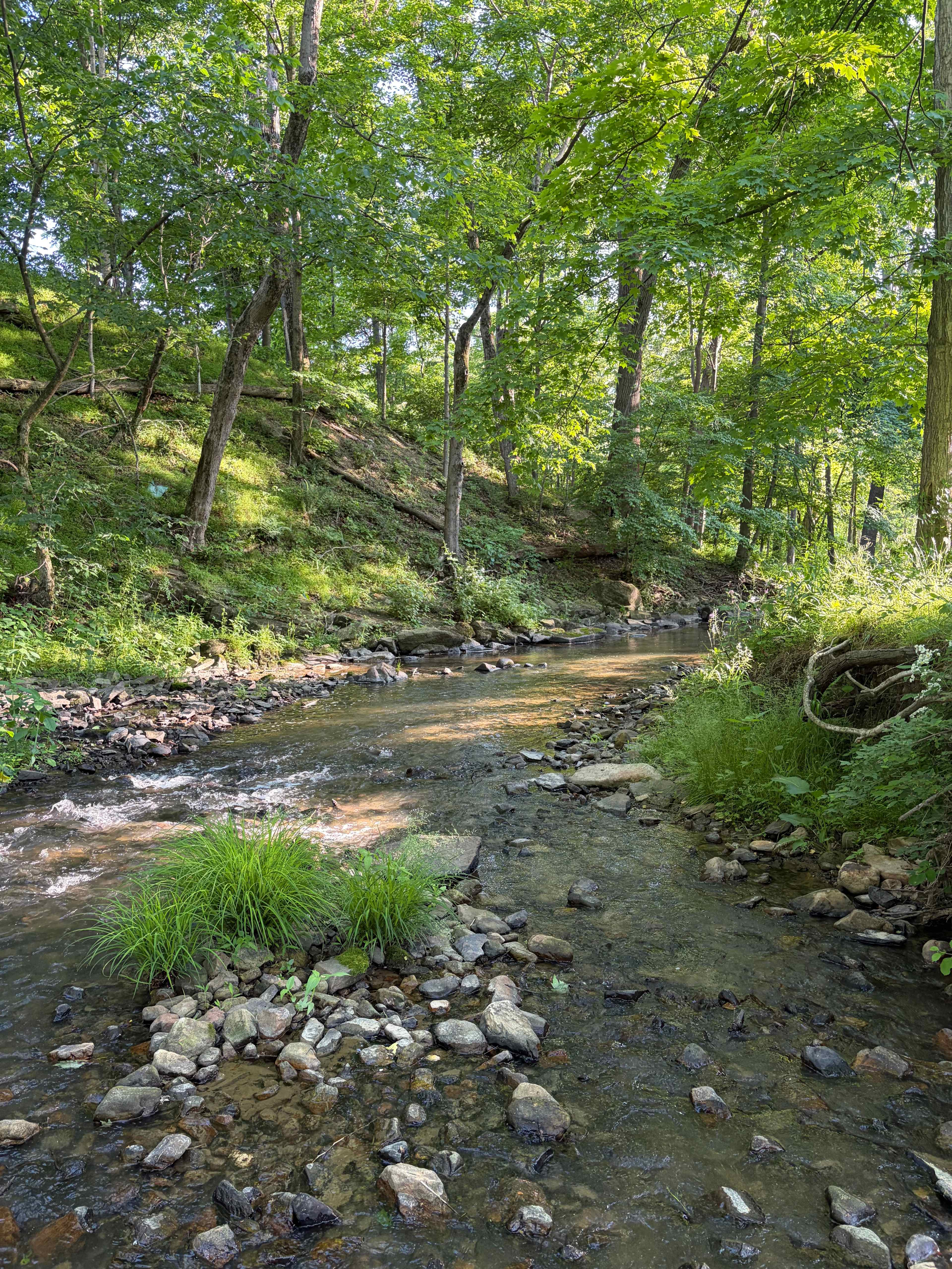 The Creekside at Goat Hill