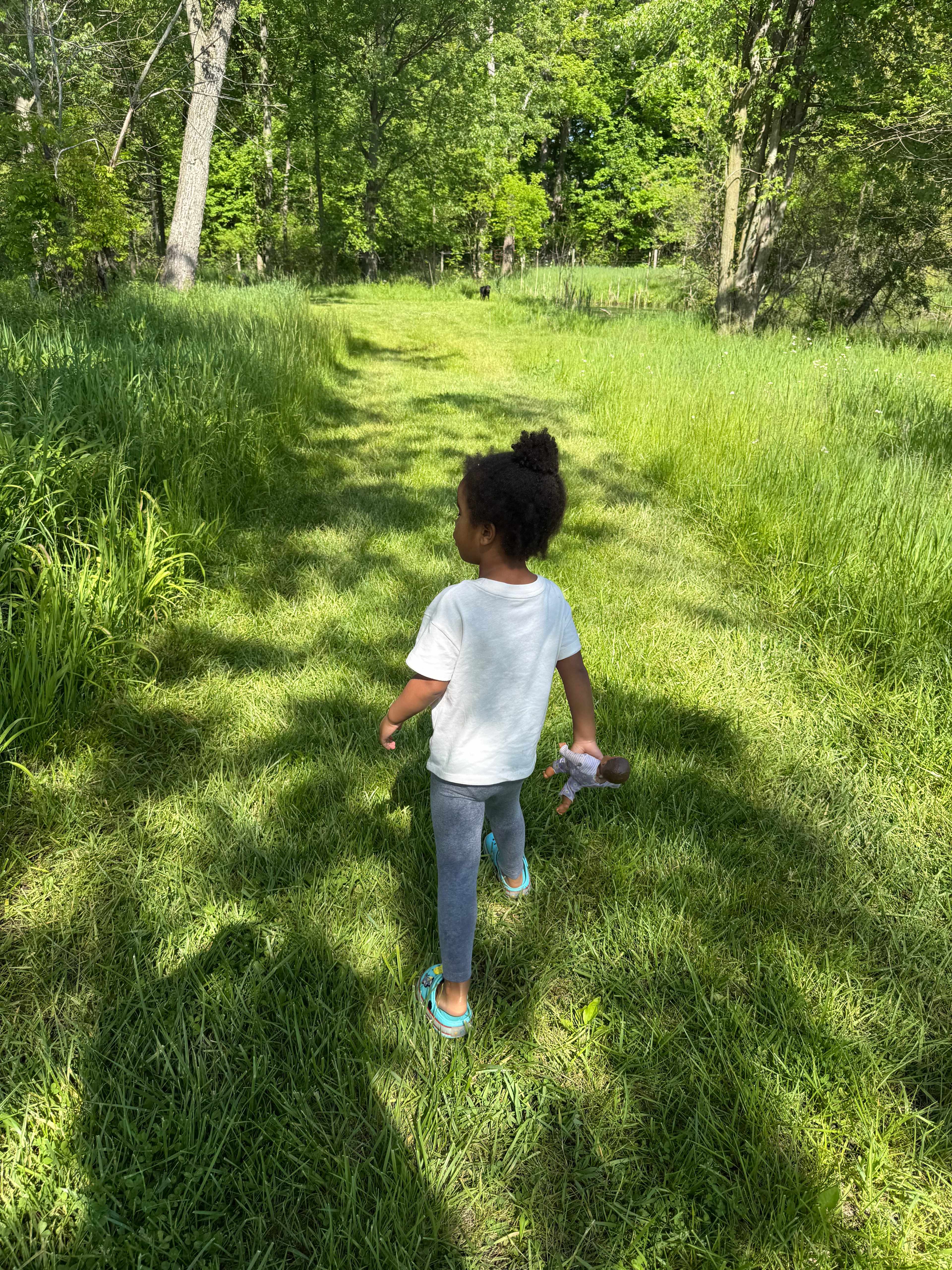 Songdog Meadows