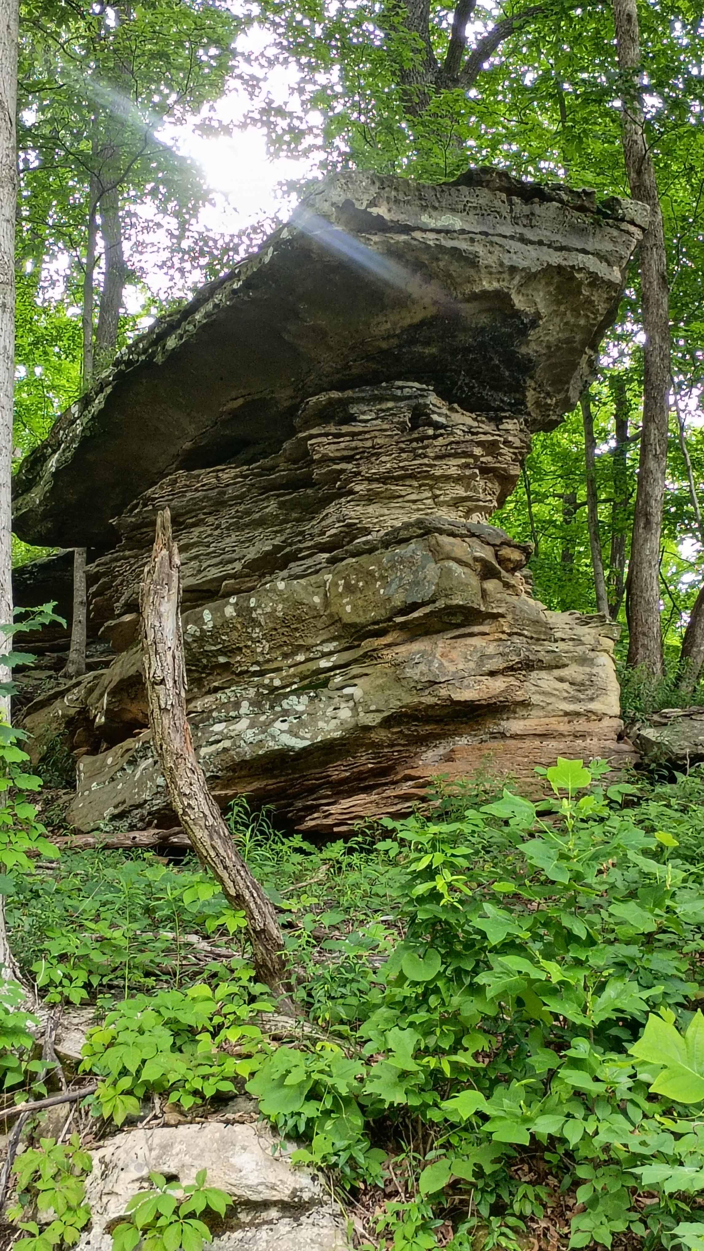 "lion king" rock lol, Tilting Rock!