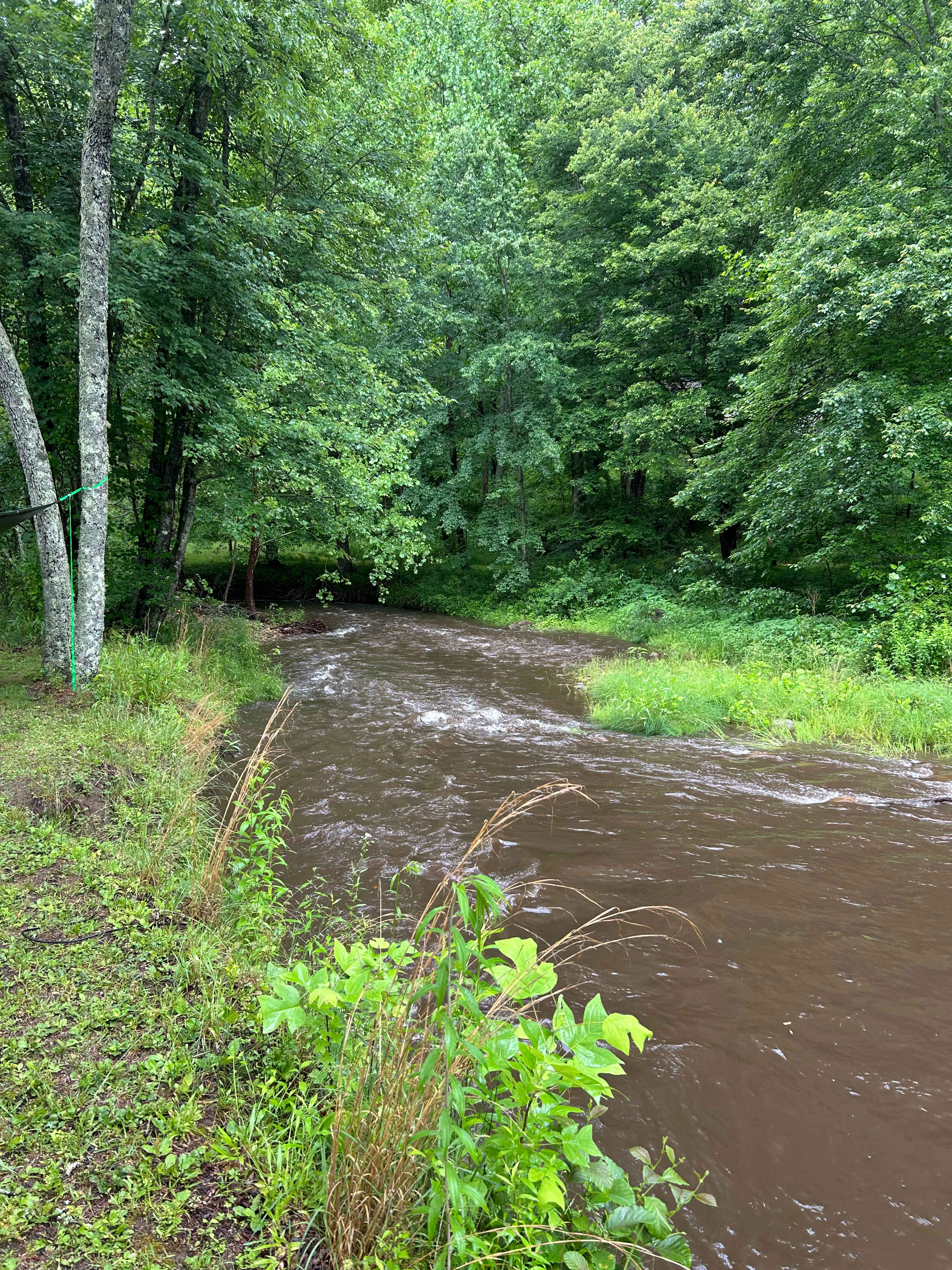 Coweeta Creek Campground