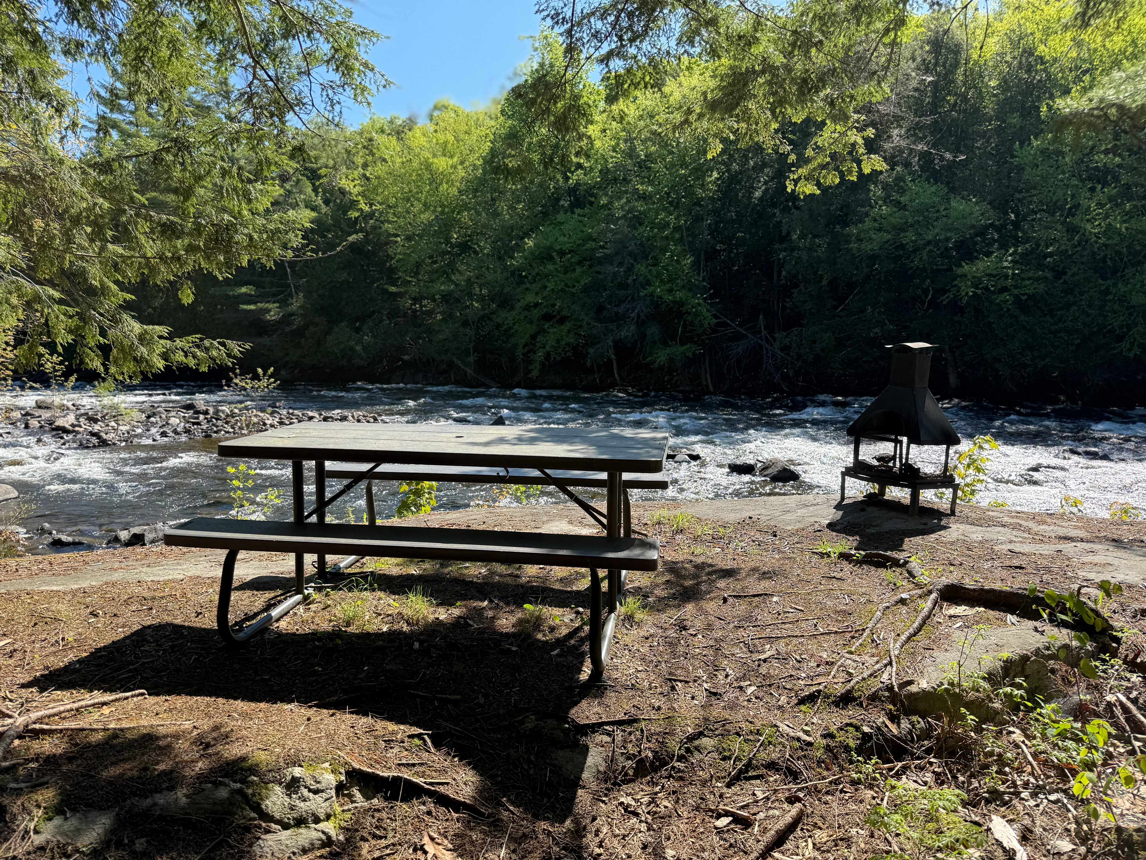 Picture of the site