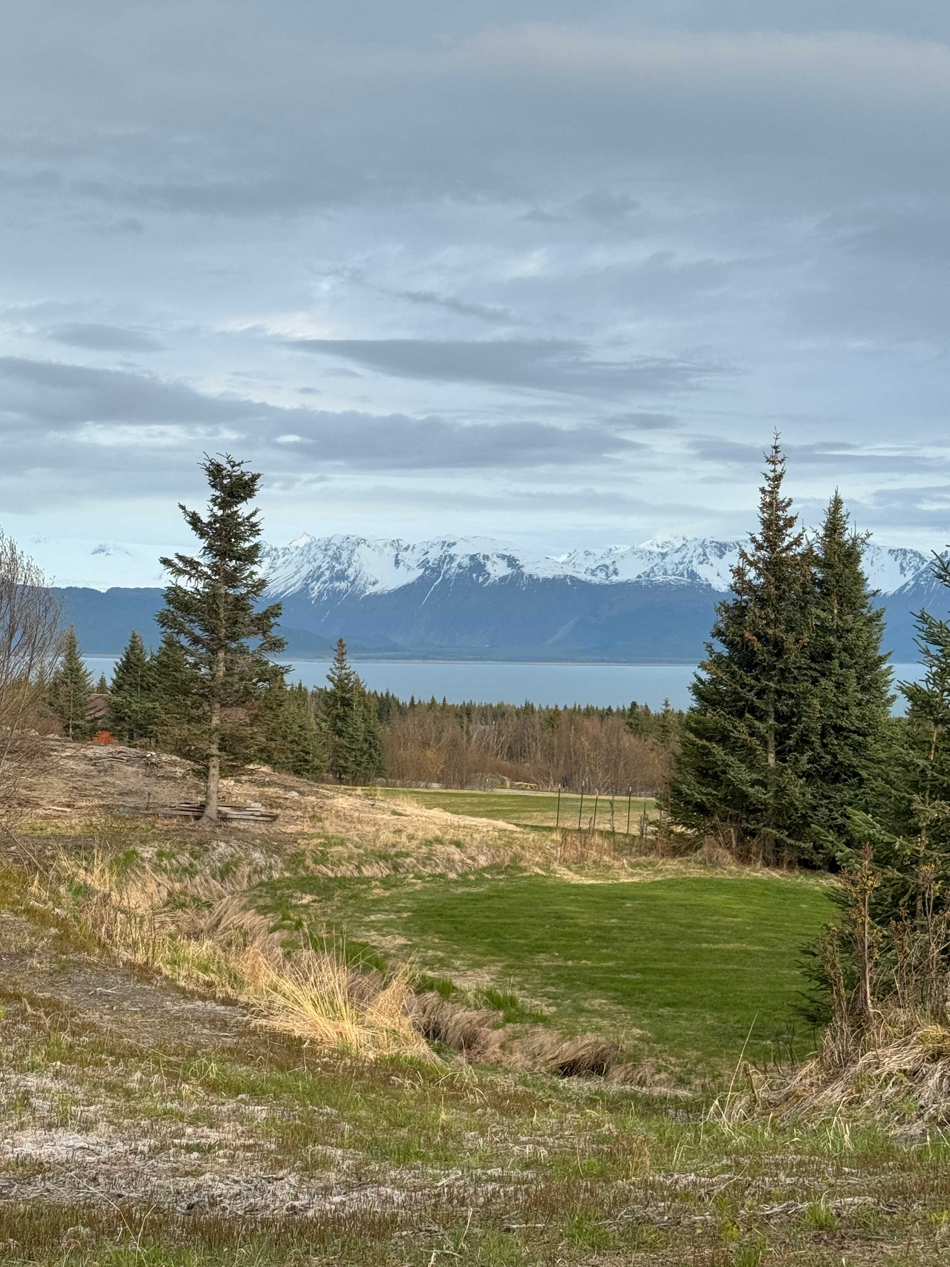 Kachemak Bay View