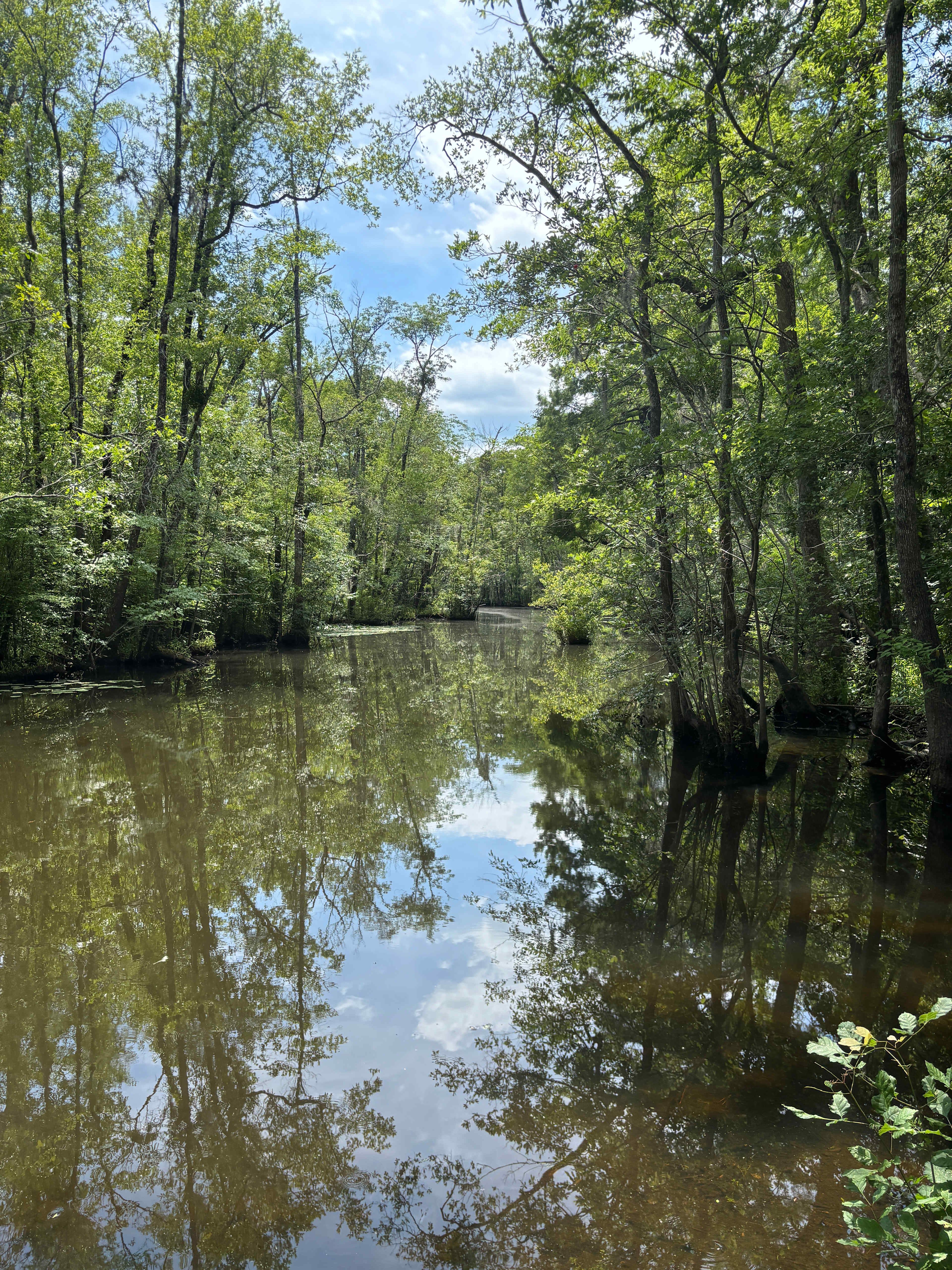 A Tranquil Town Creek, Winnabow, NC