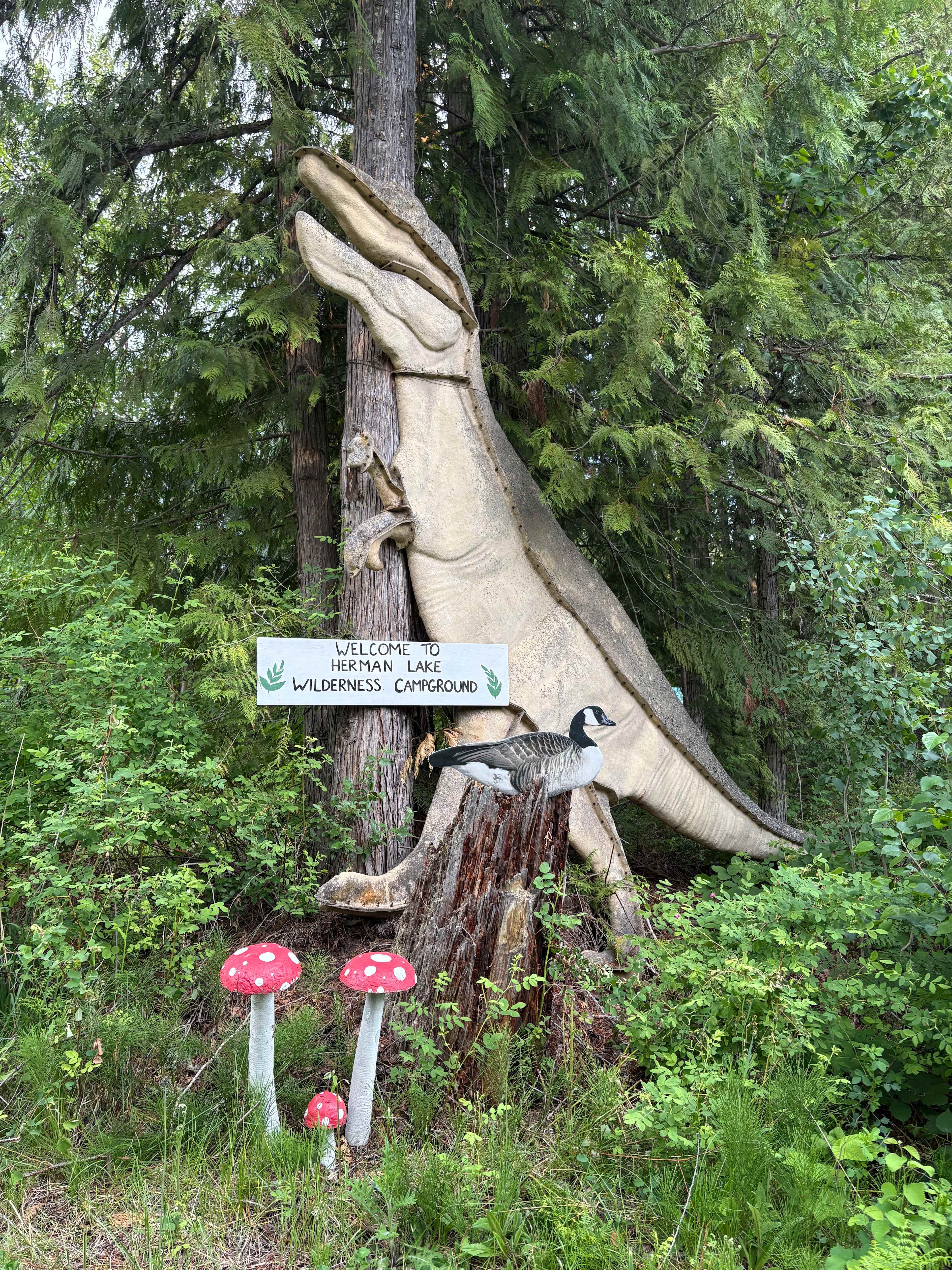 Herman Lake Wilderness Campground