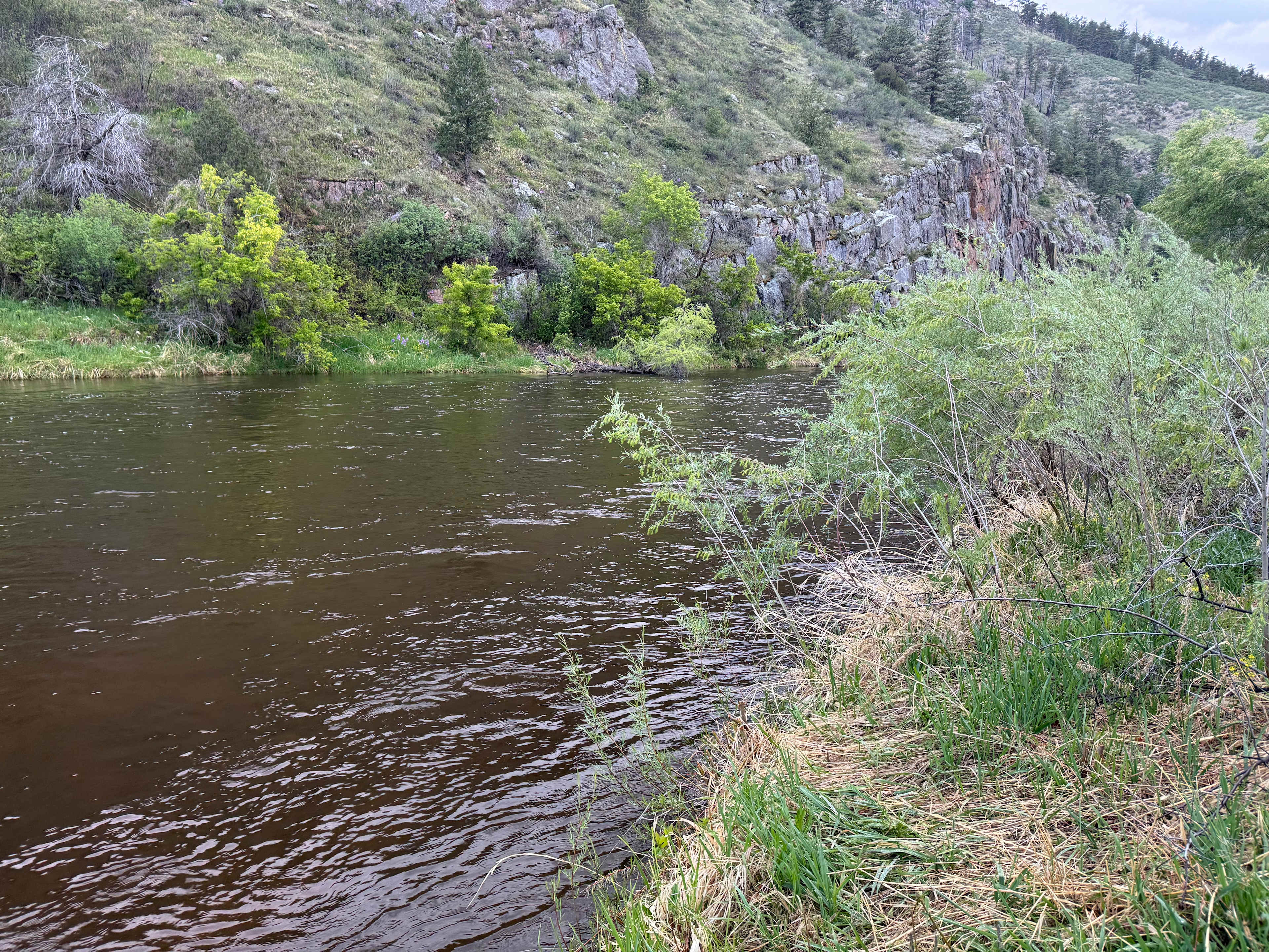 Basecamp On The Poudre
