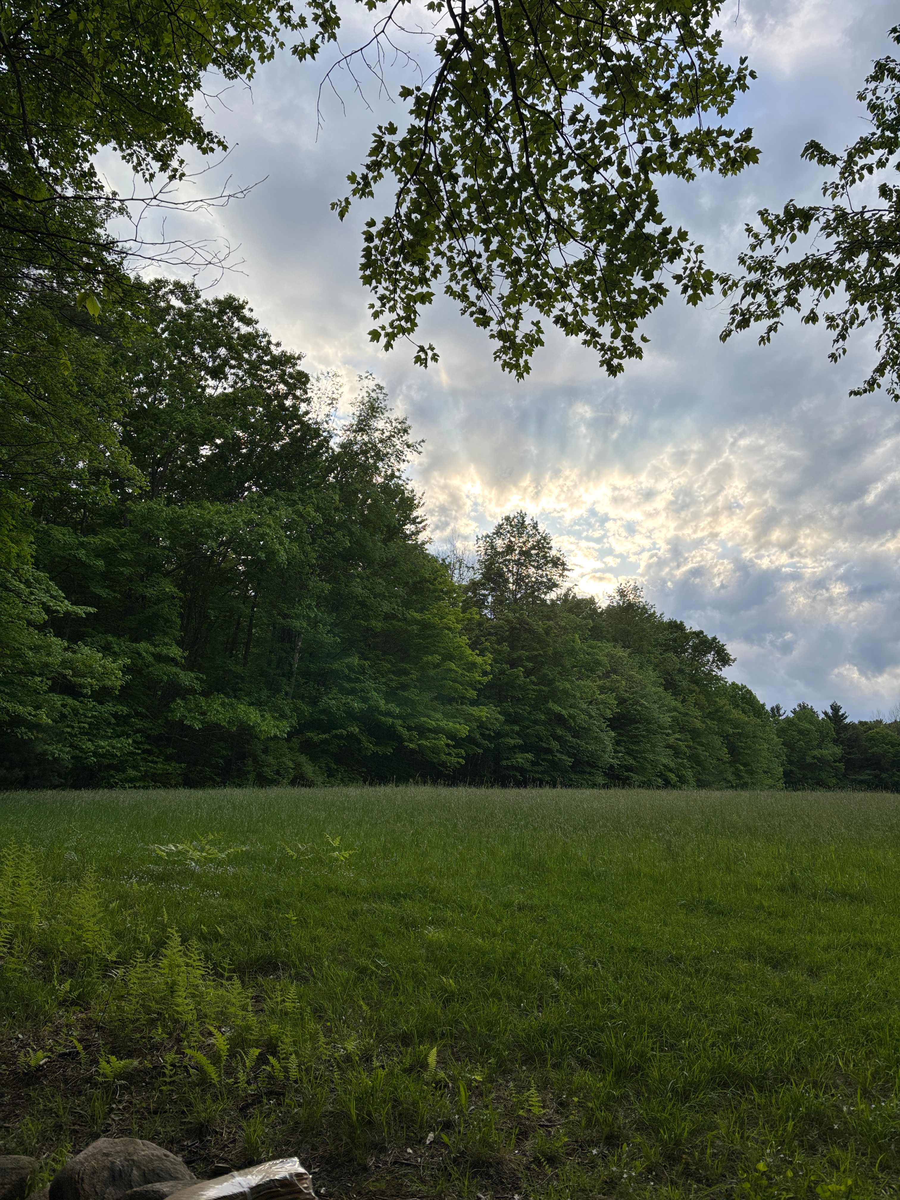 Maple Corner Farm